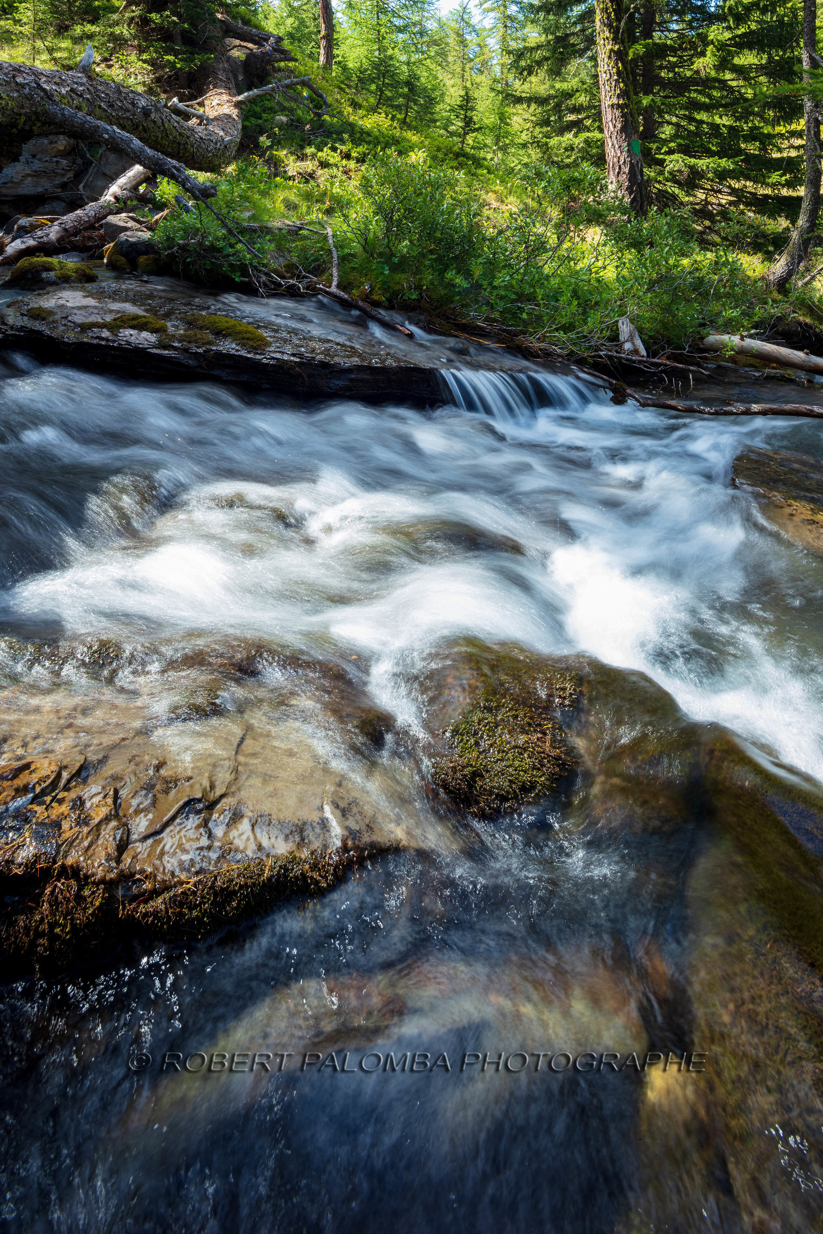 Torrent