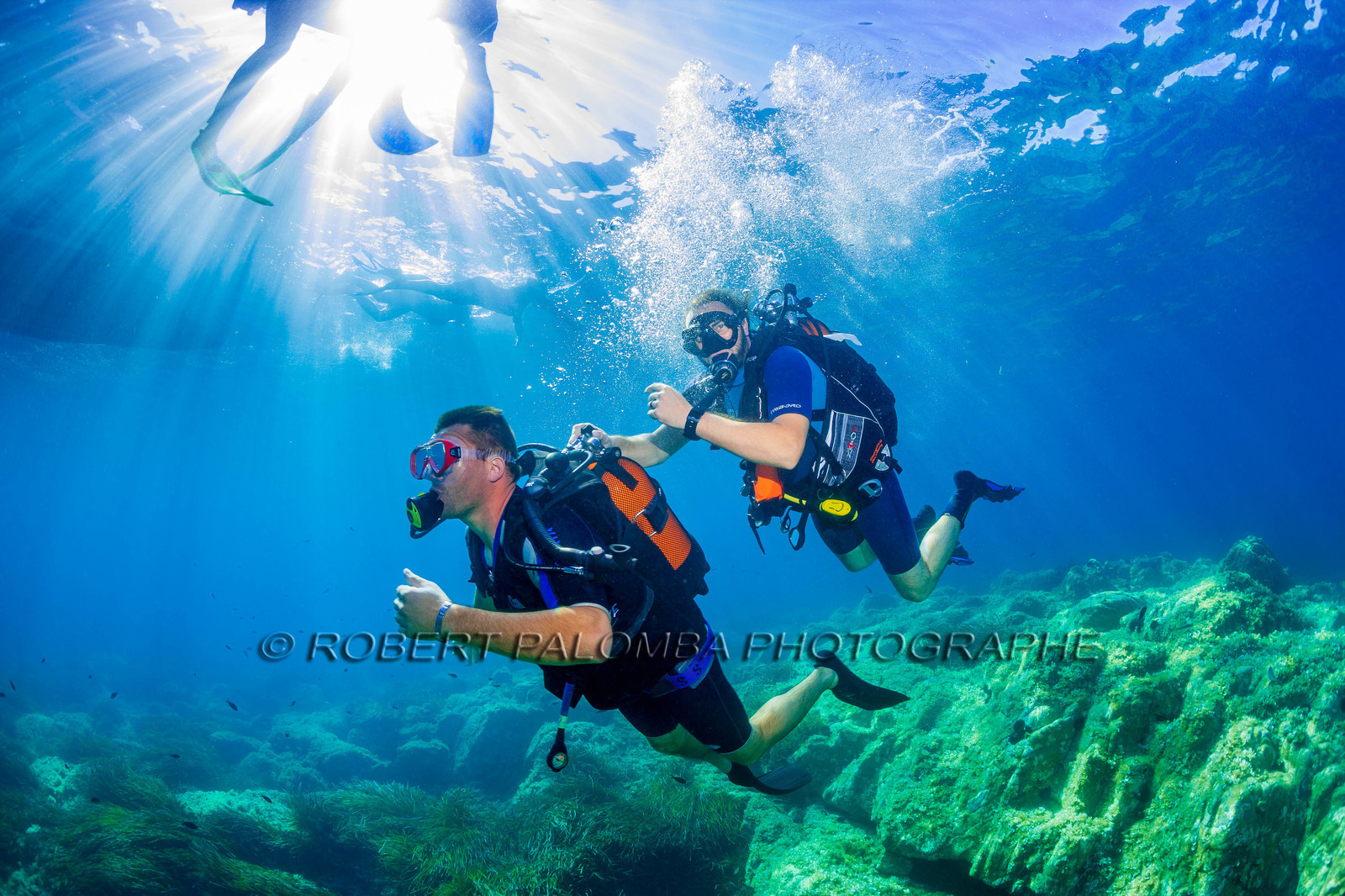 Plongée-sous-marine