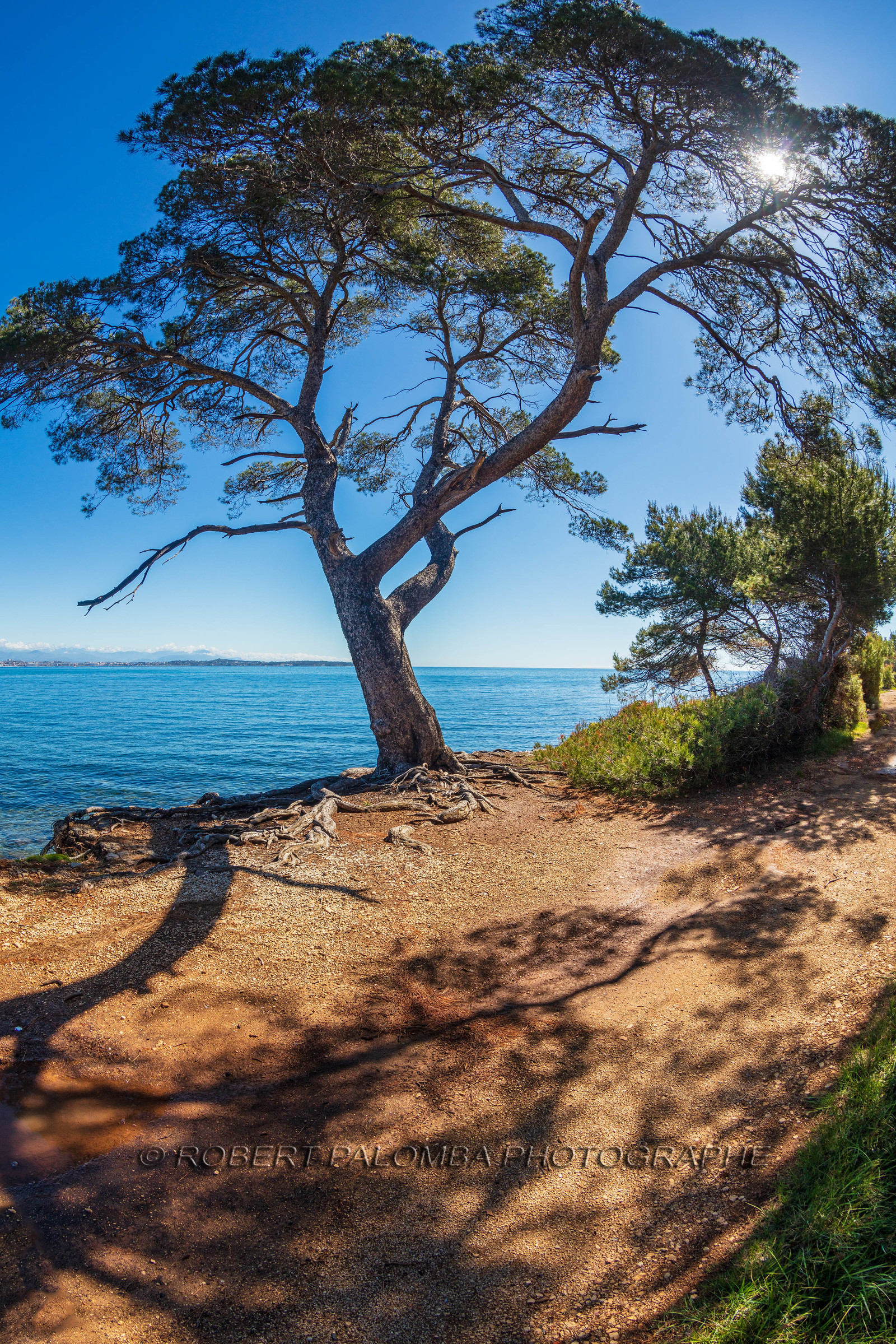 Lérins Sainte-Marguerite