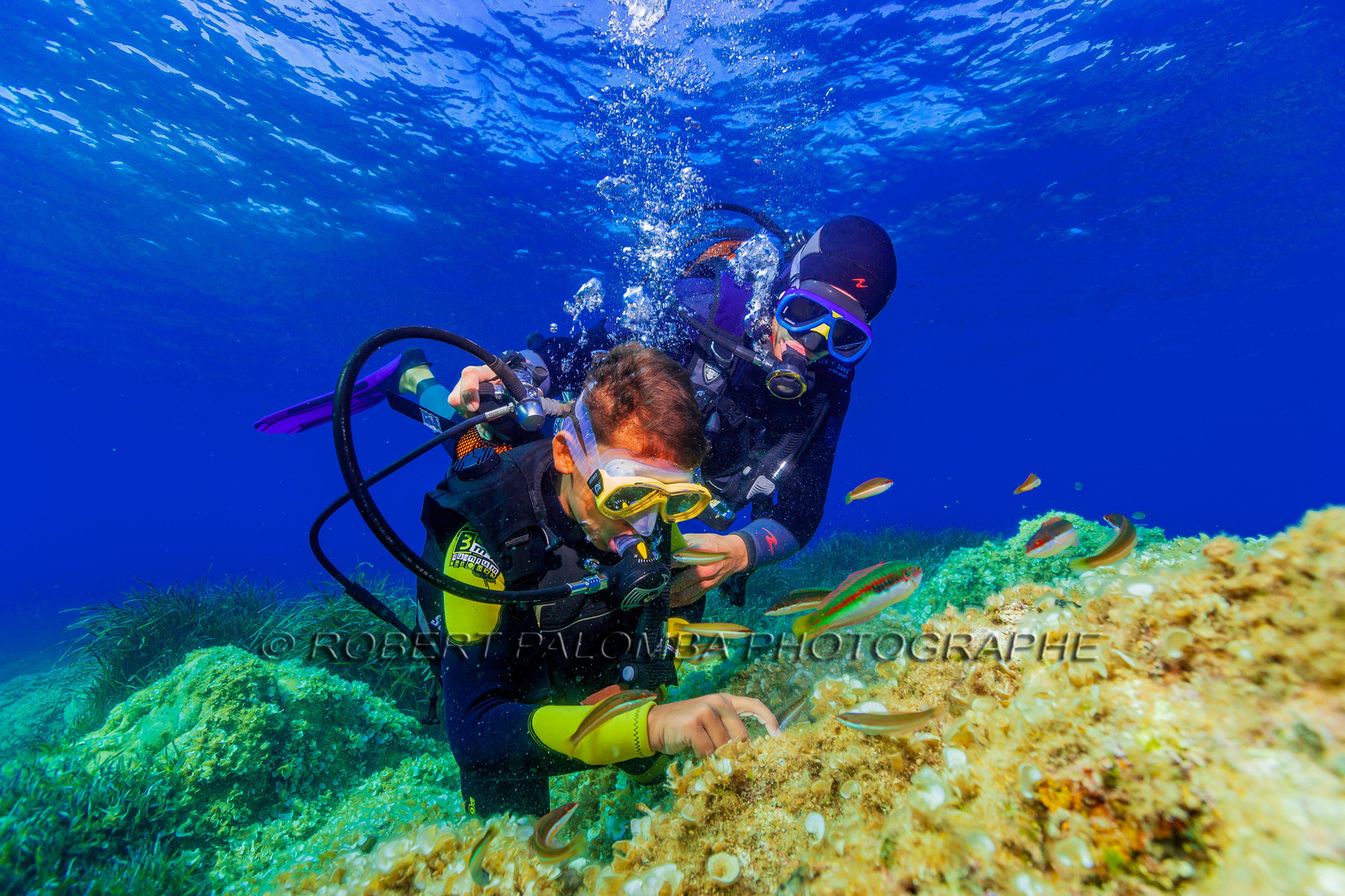 Plongée-sous-marine