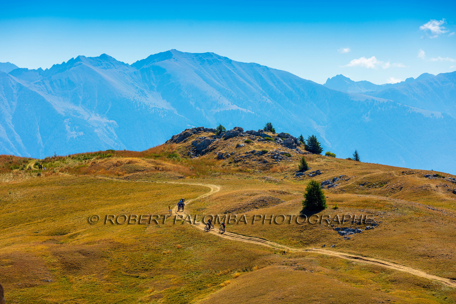 Auron