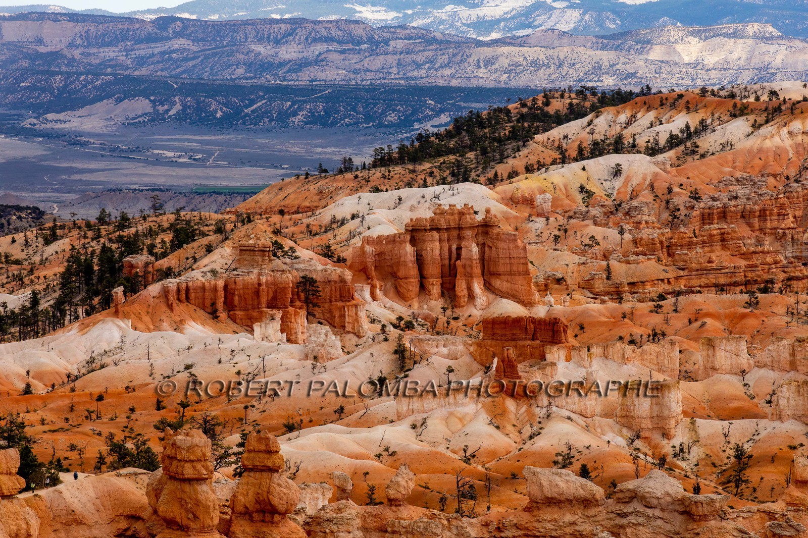 Bryce Canyon