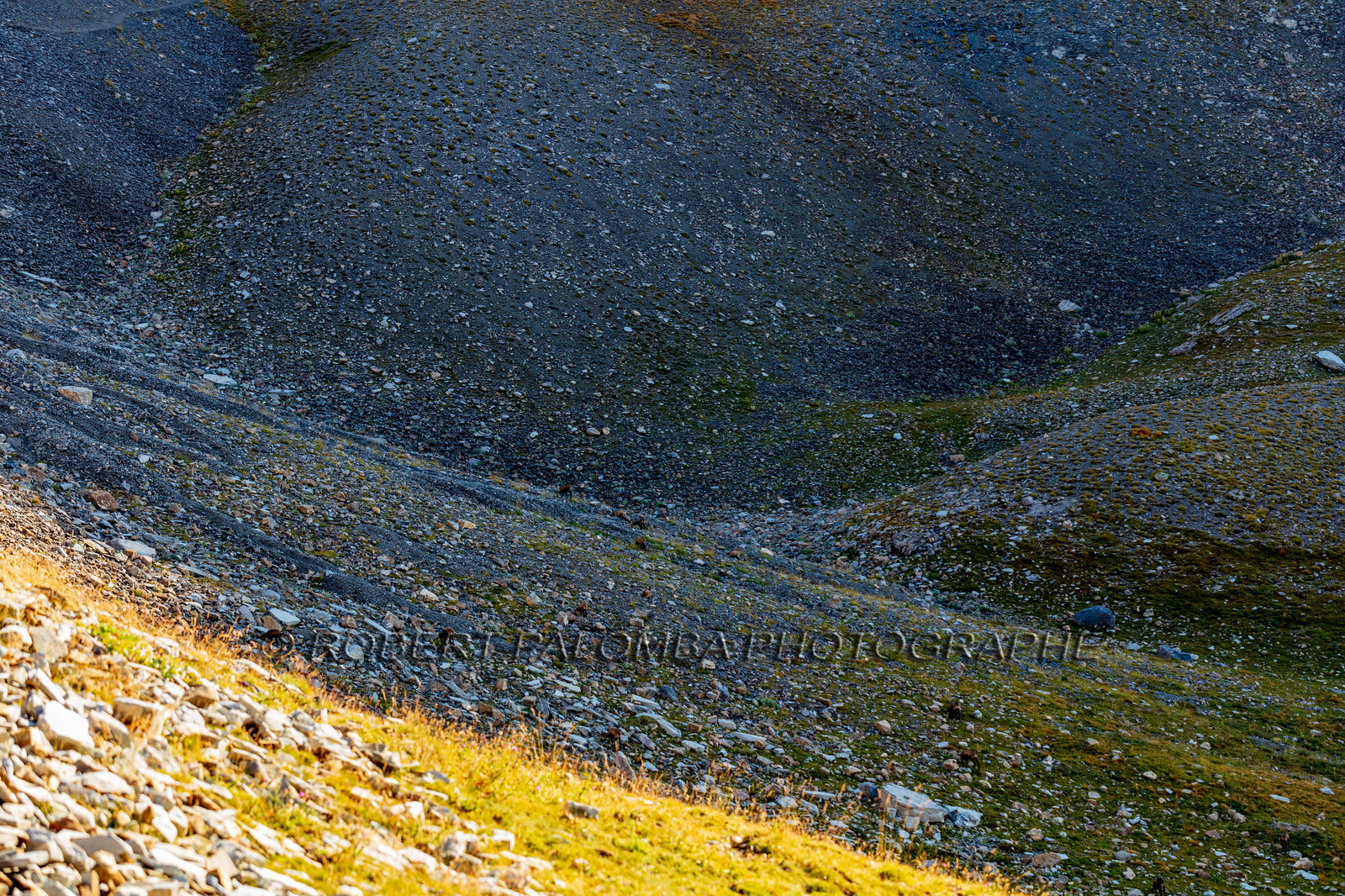 Mont Pelat