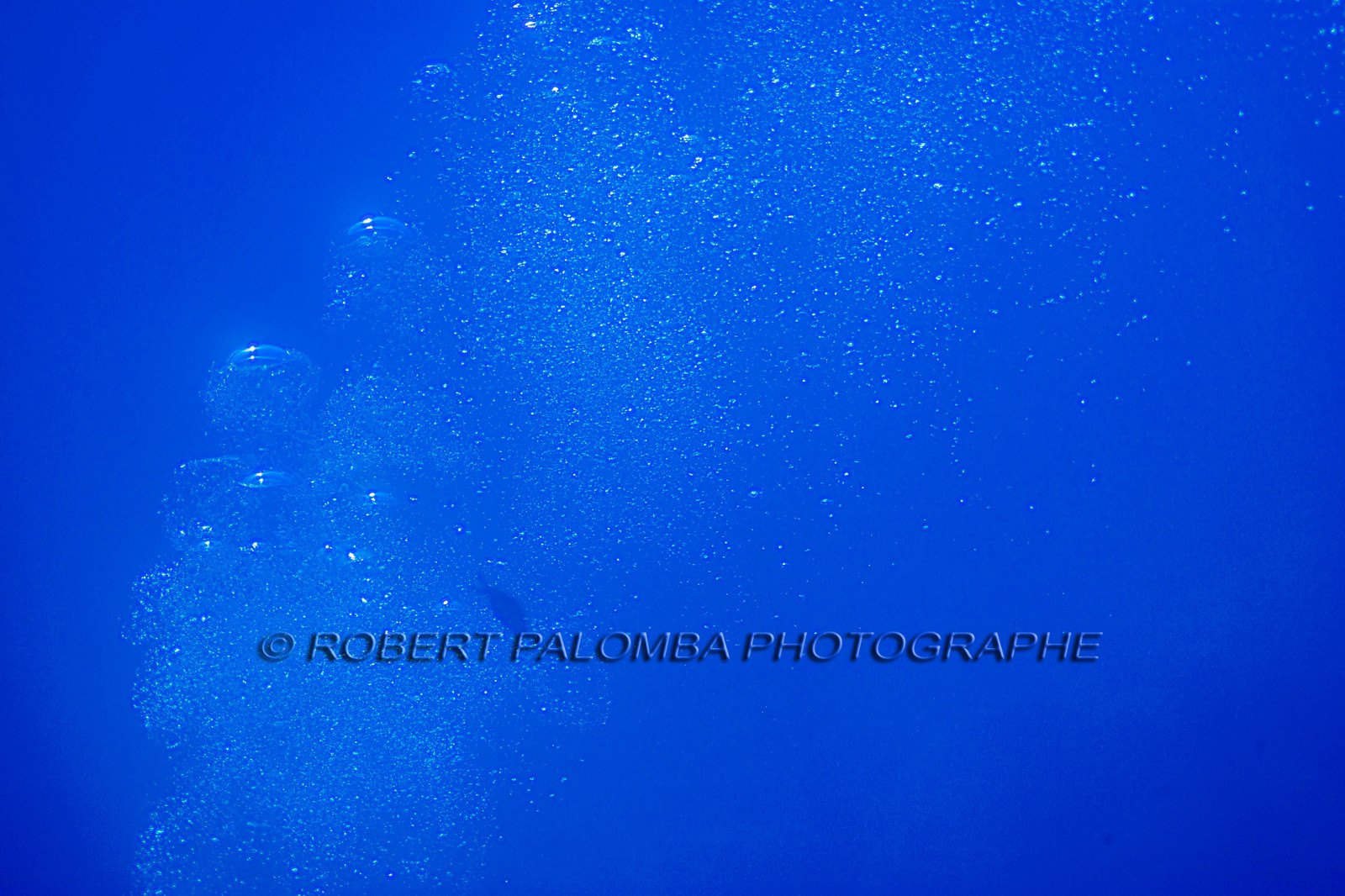 Plongée-sous-marine