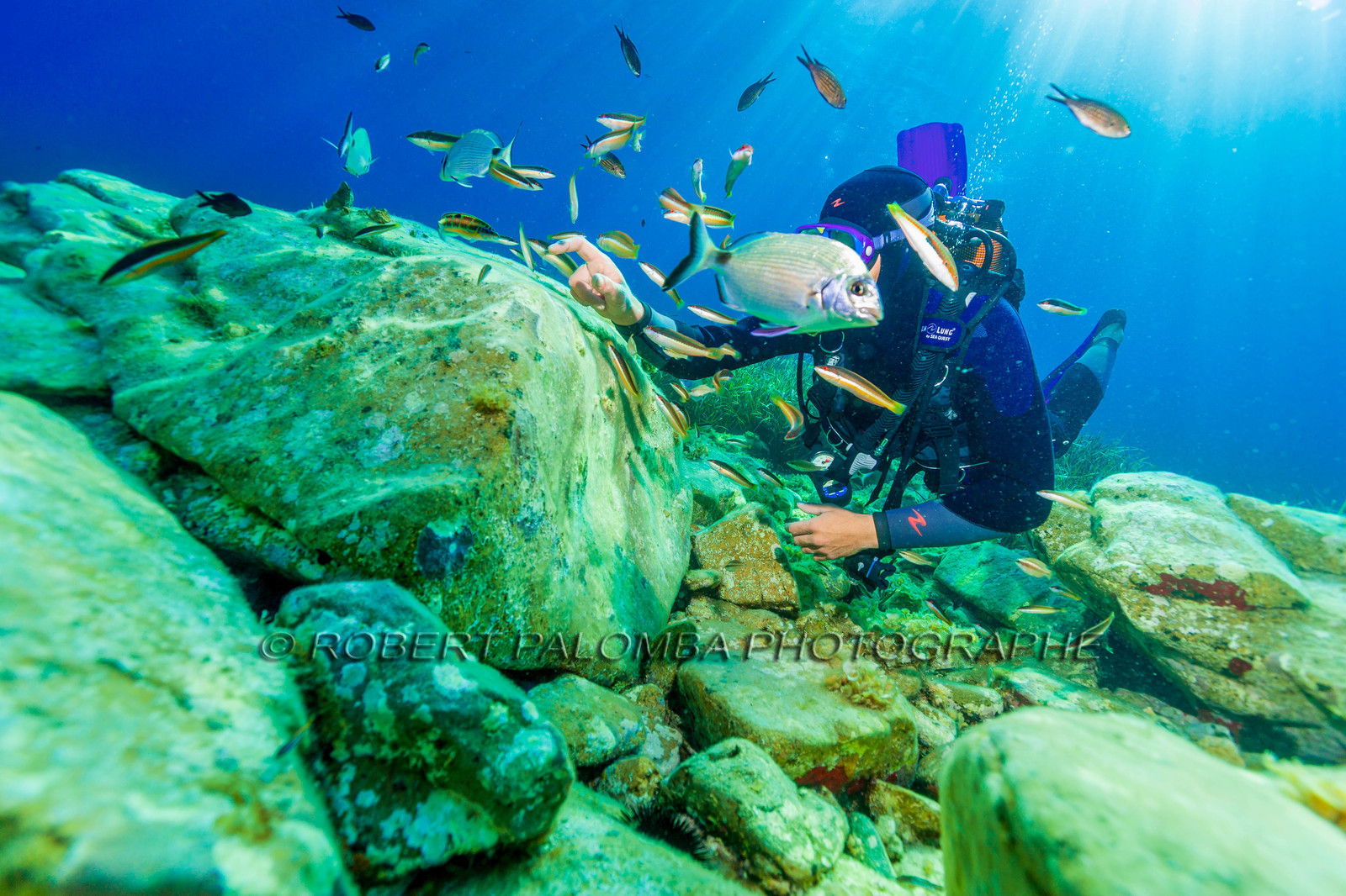 Plongée-sous-marine