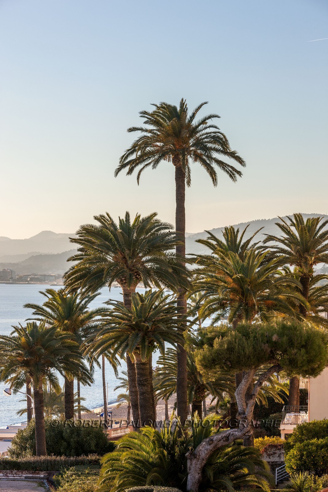 Cannes vue de l'Hôtel Radisson Blu 1835