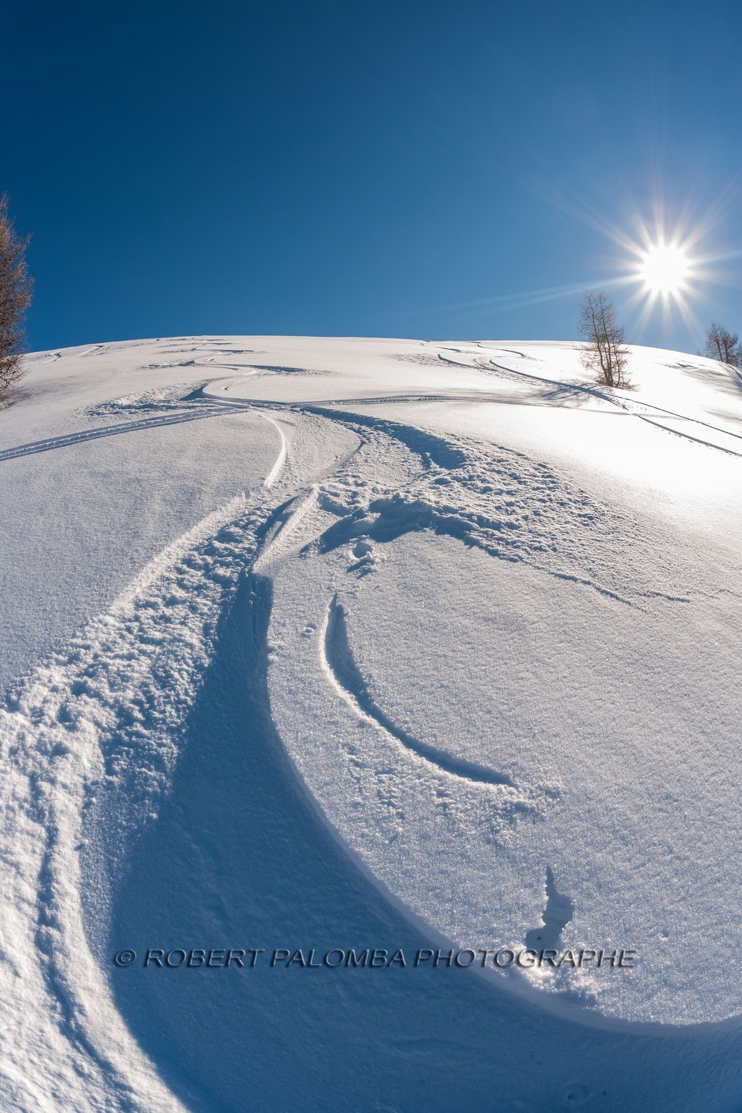 Auron