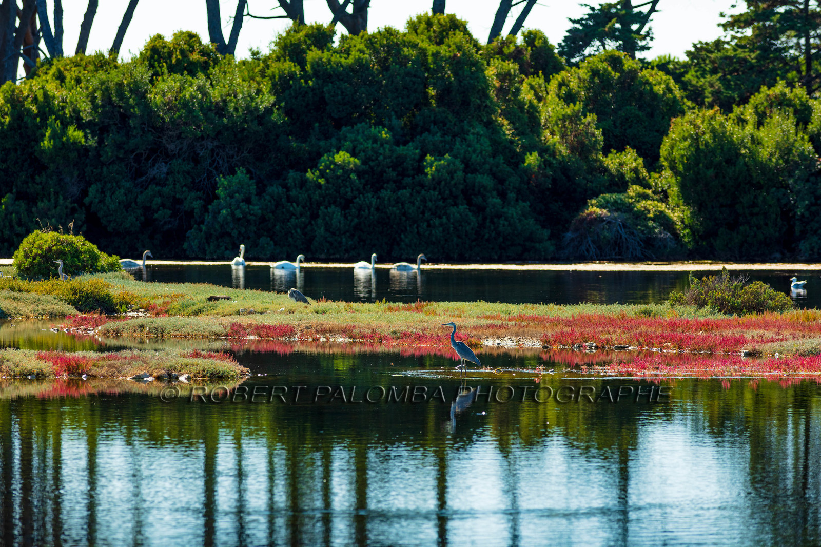 Lérins, Sainte-Marguerite