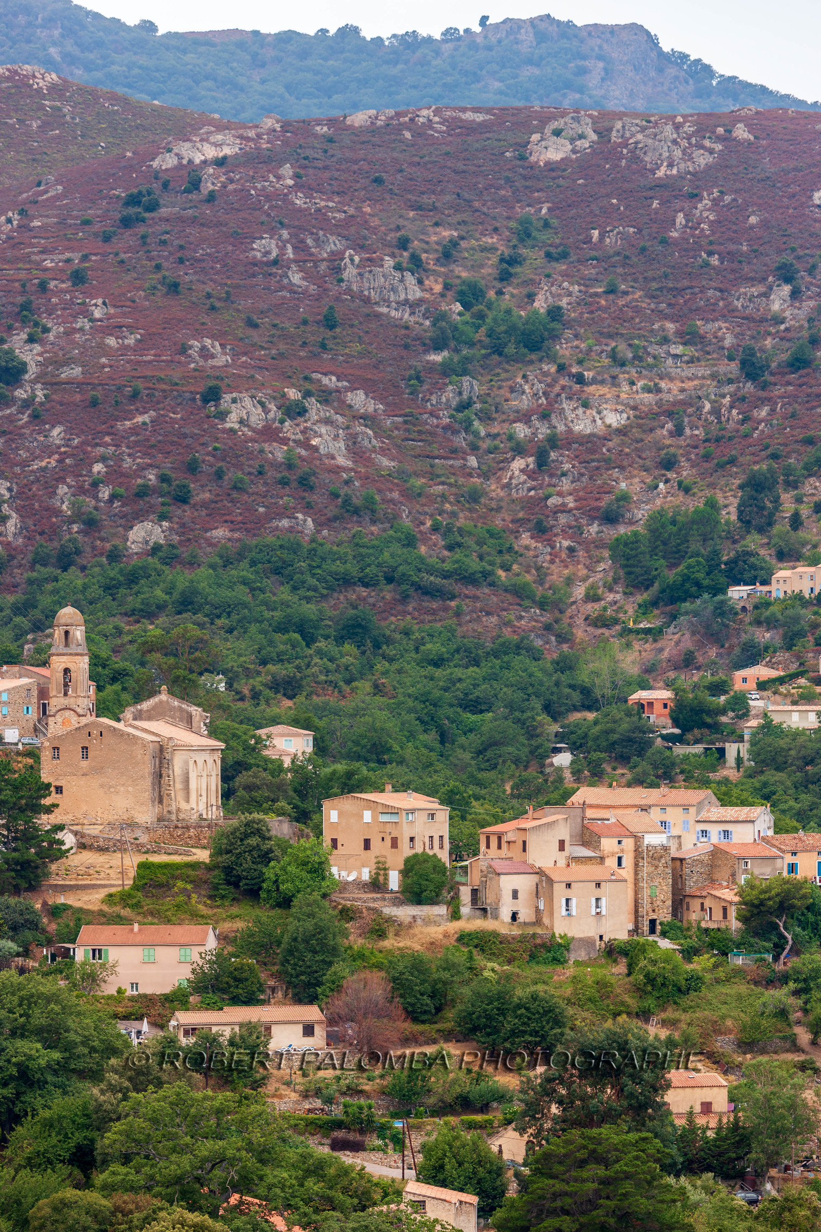 Feliceto
