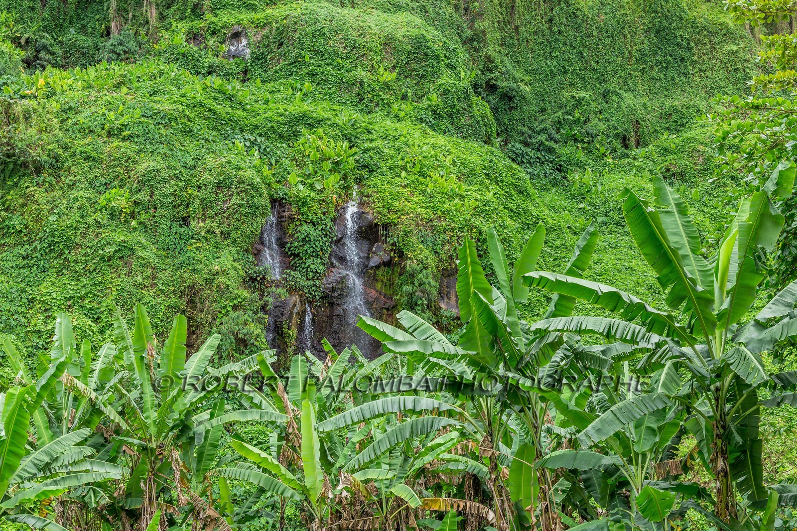 Ile de La Réunion