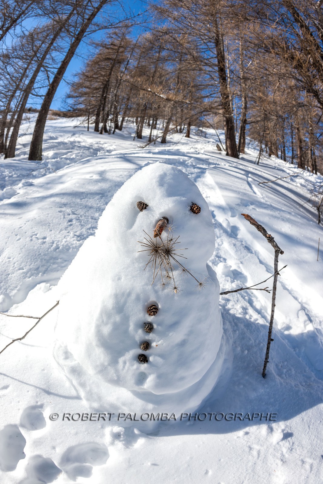 Bonhomme de neige