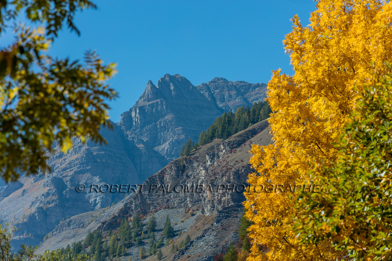 Saint-Dalmas-le-Selvage