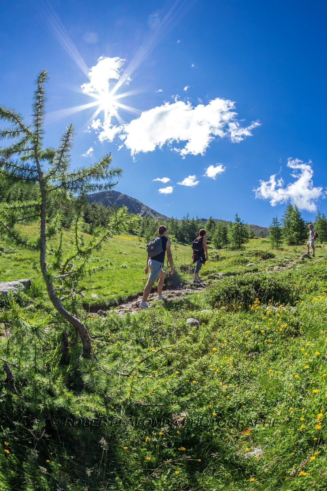Mercantour