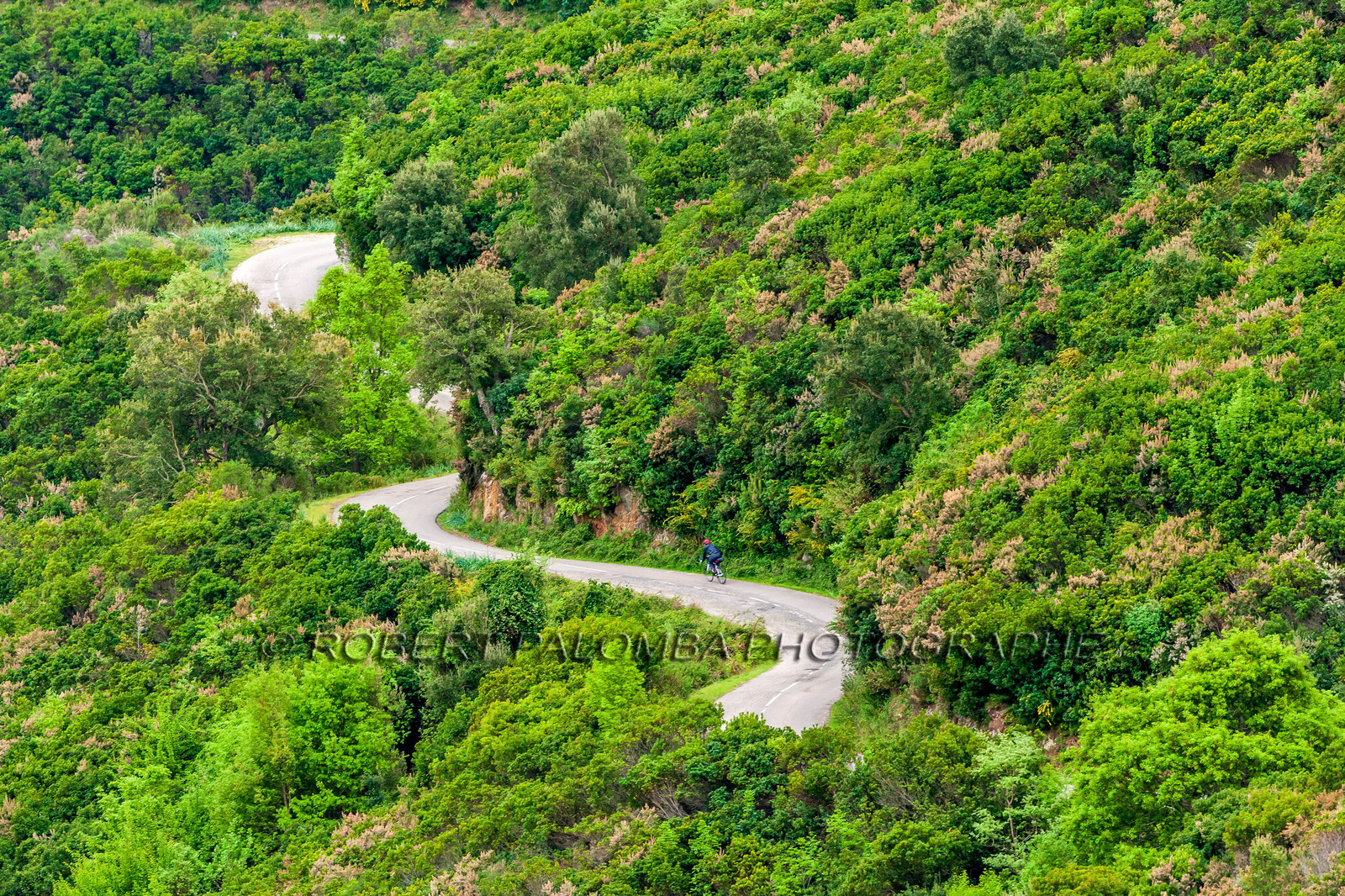 Bikingman Corsica 2019