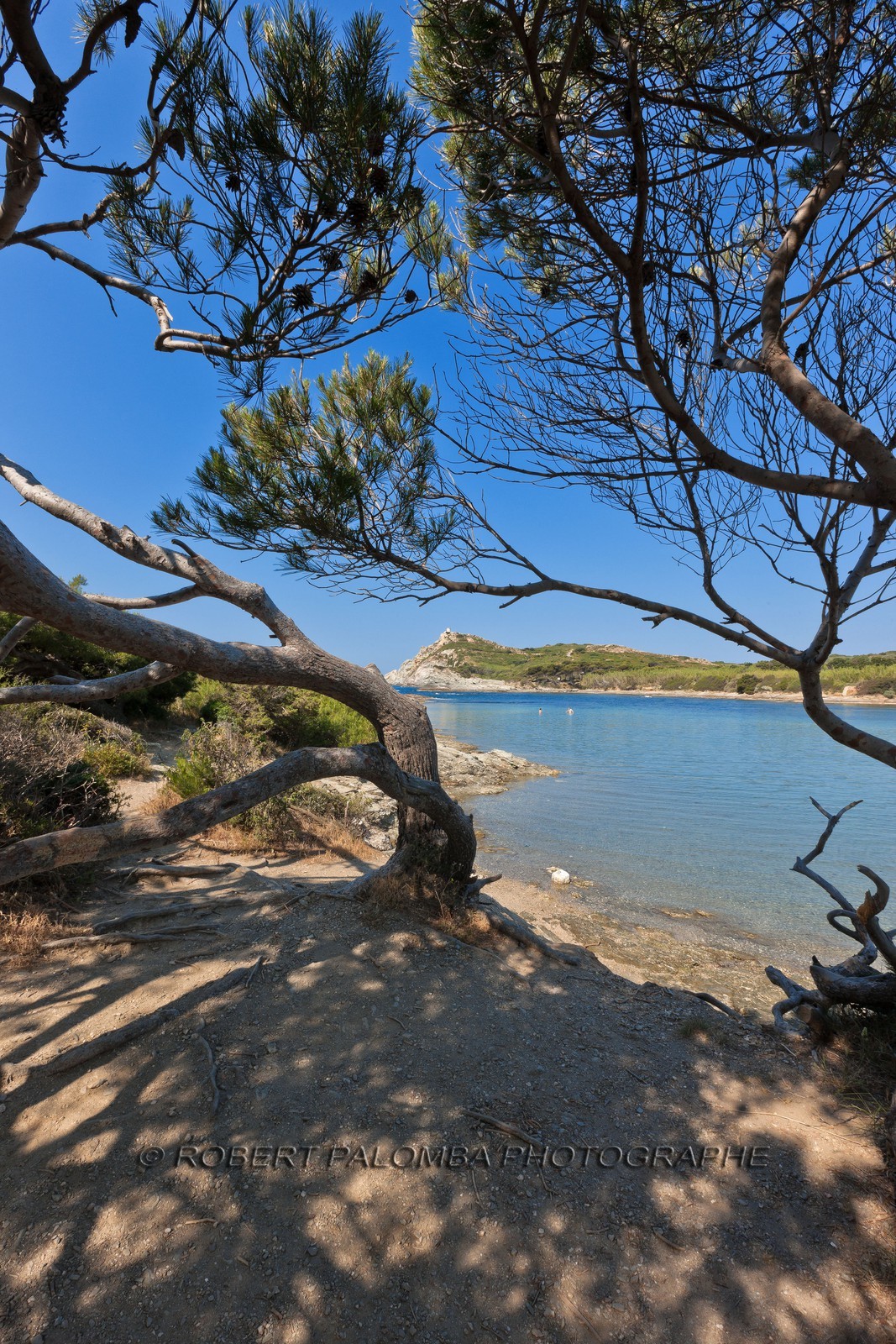 Ile du Grand Gaou