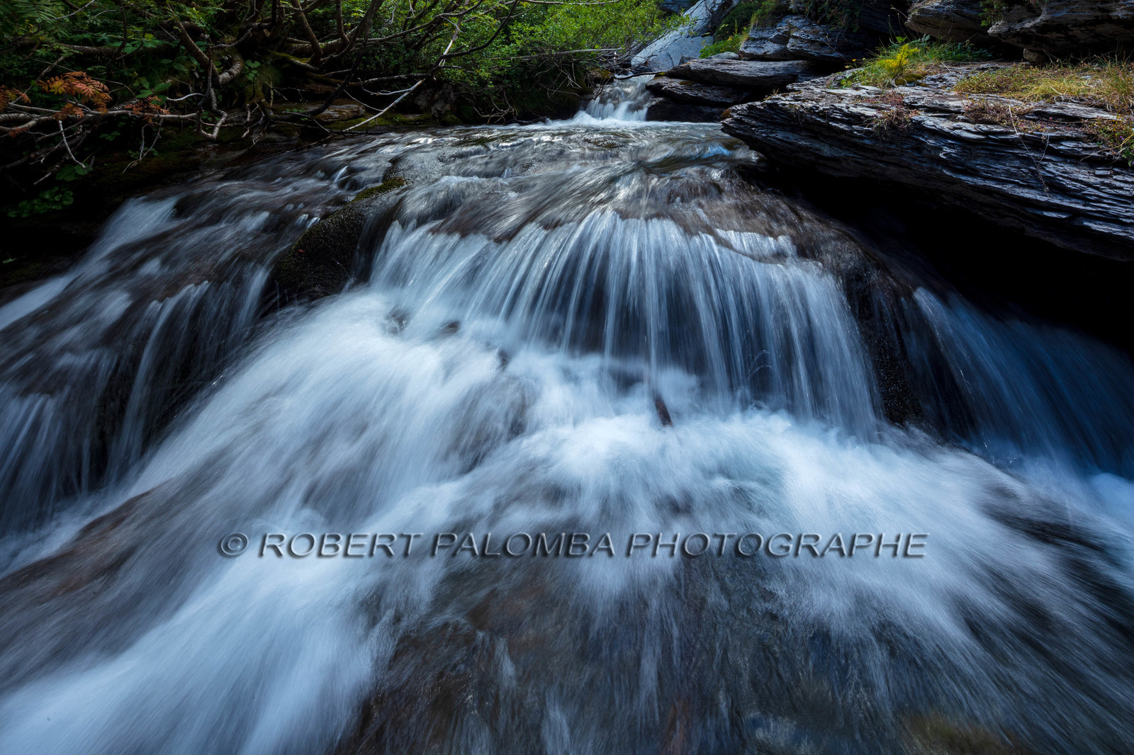 Torrent