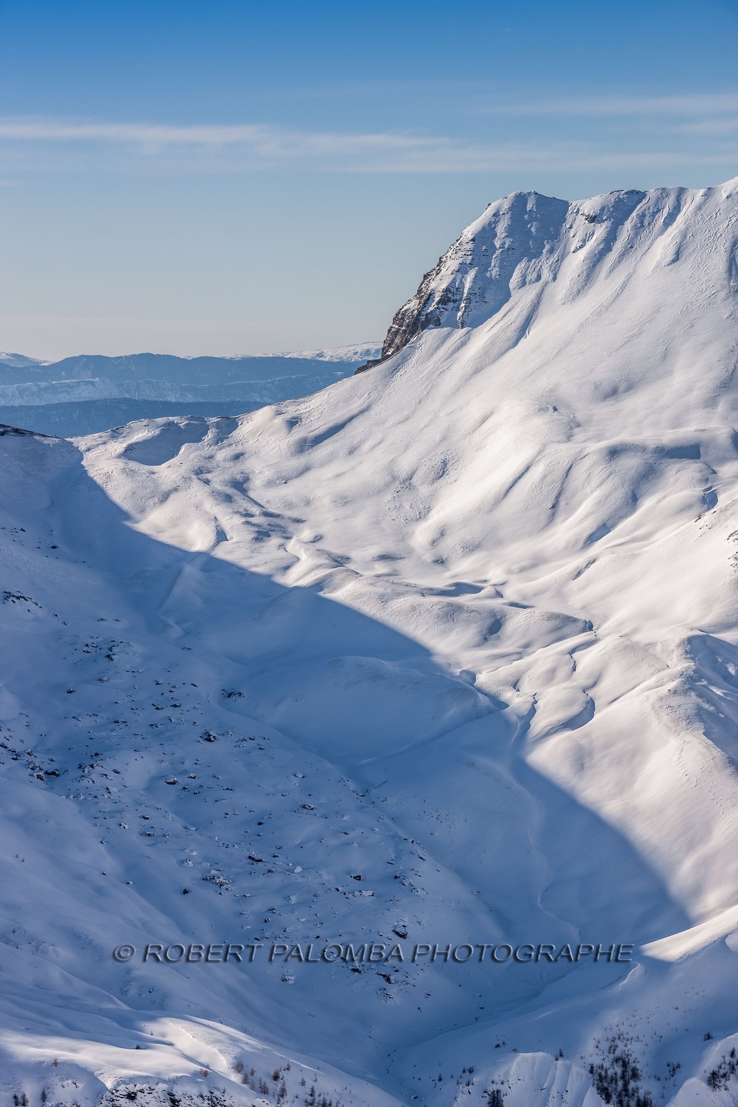 Auron