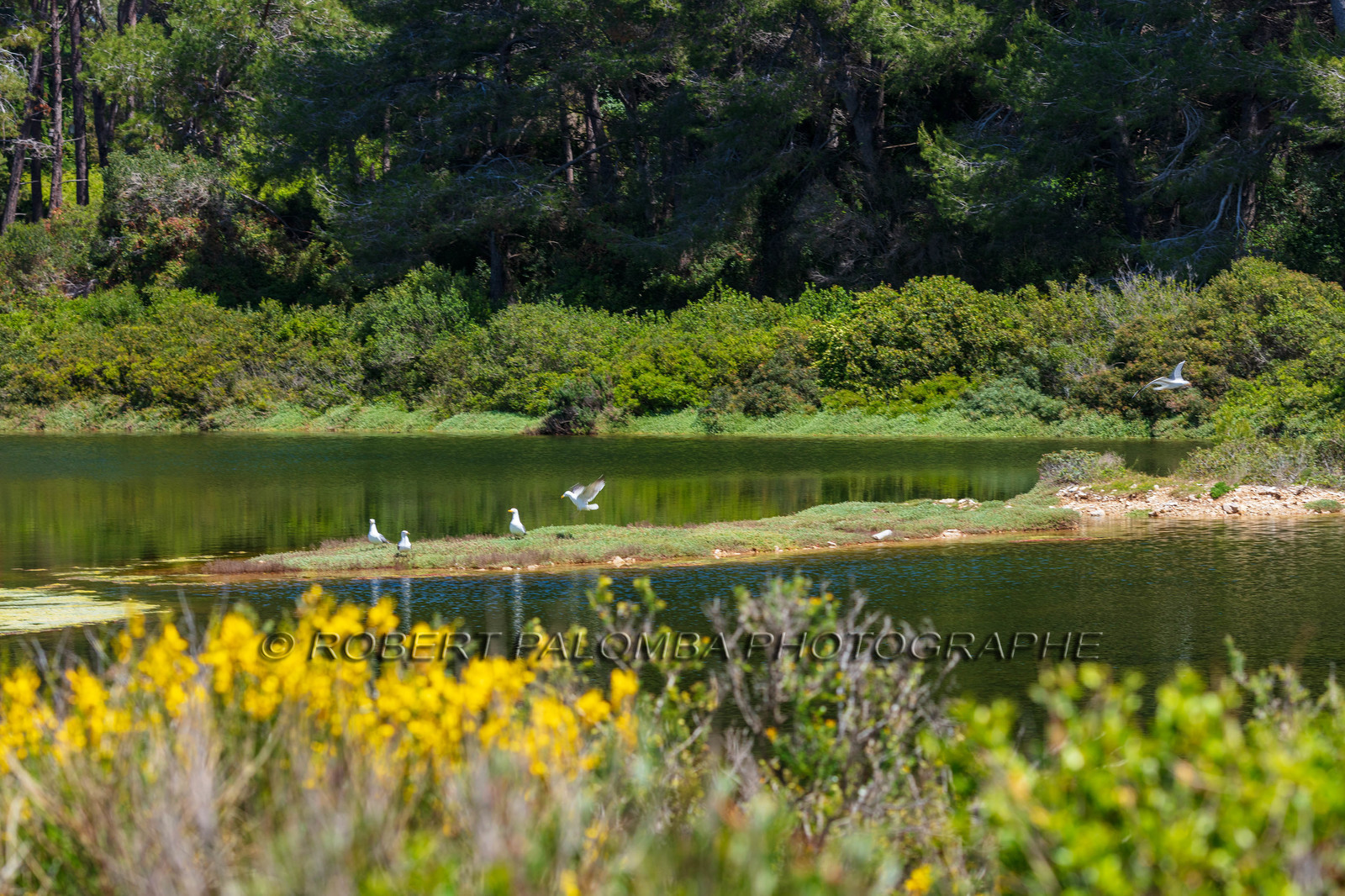 Lérins Sainte-Marguerite