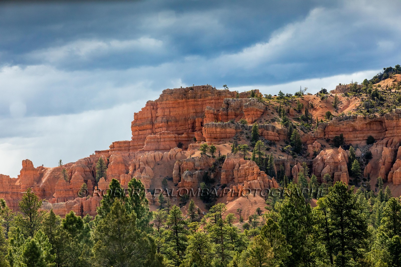 Sur la route en quittant Bryce Canyon