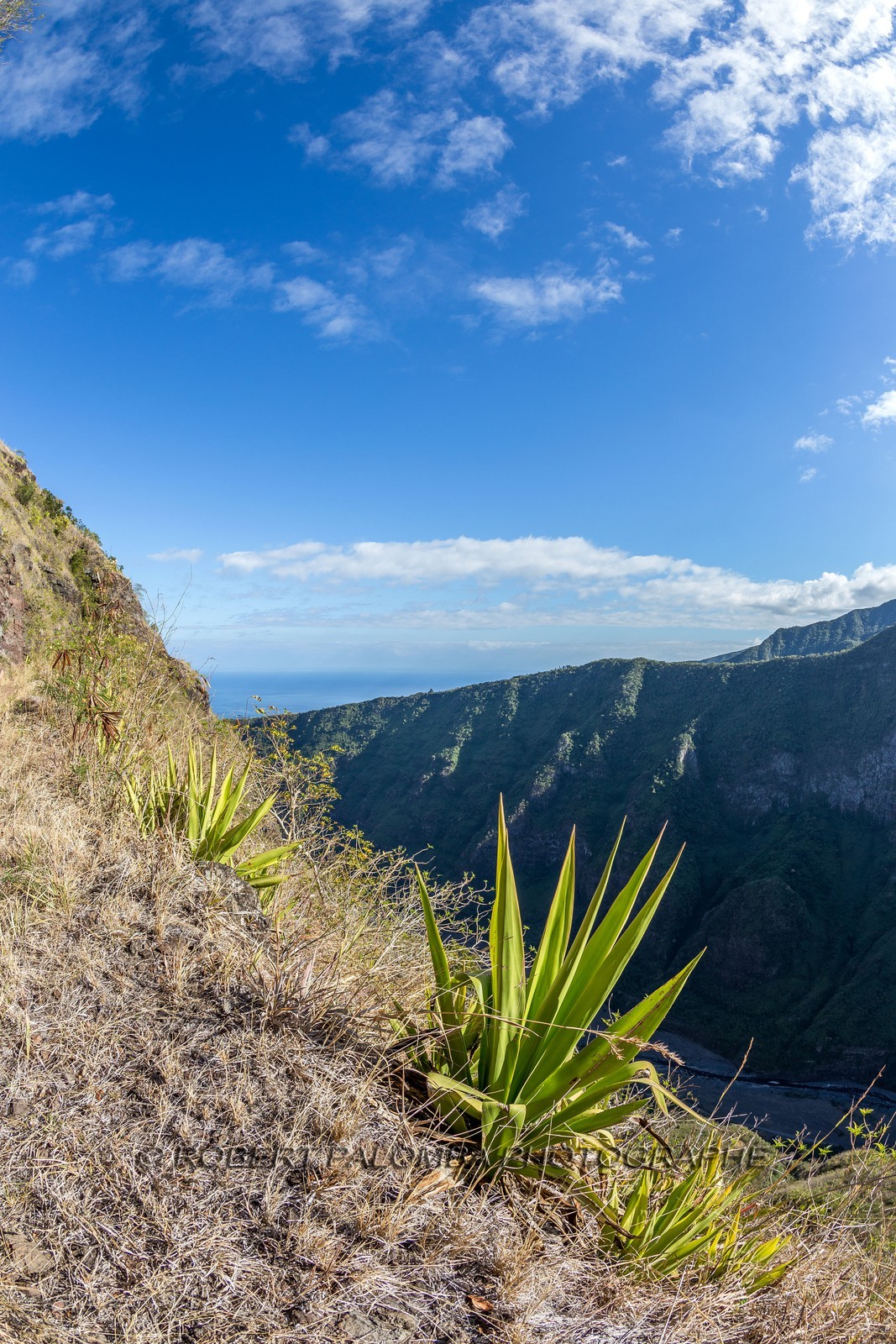 Ile de La Réunion