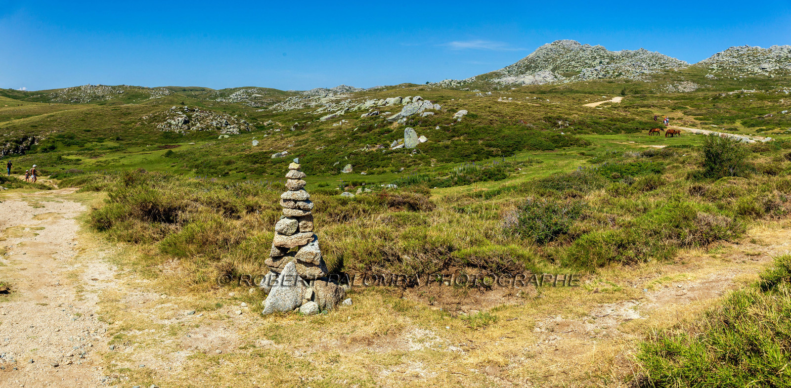 Plateau du Coscione