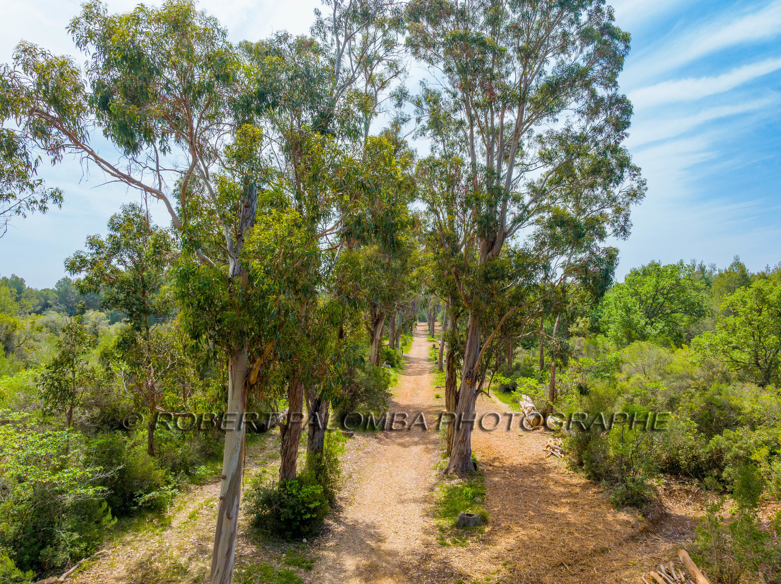 Lérins Sainte-Marguerite