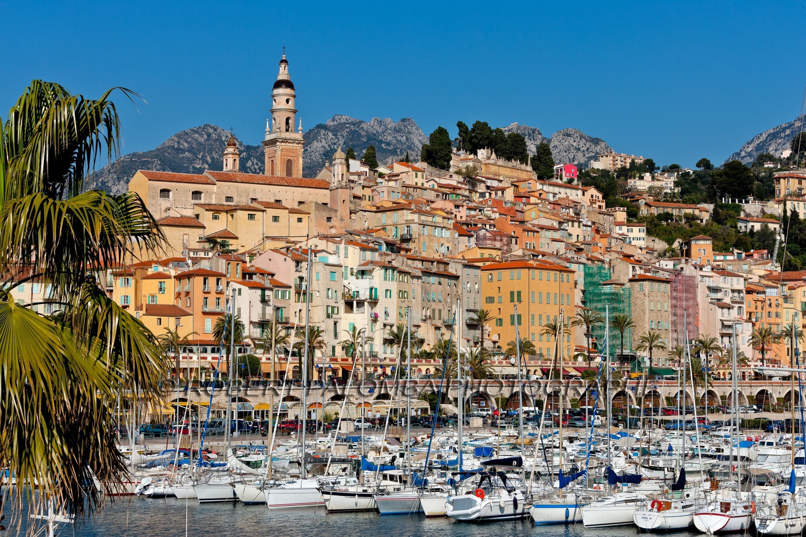 Menton