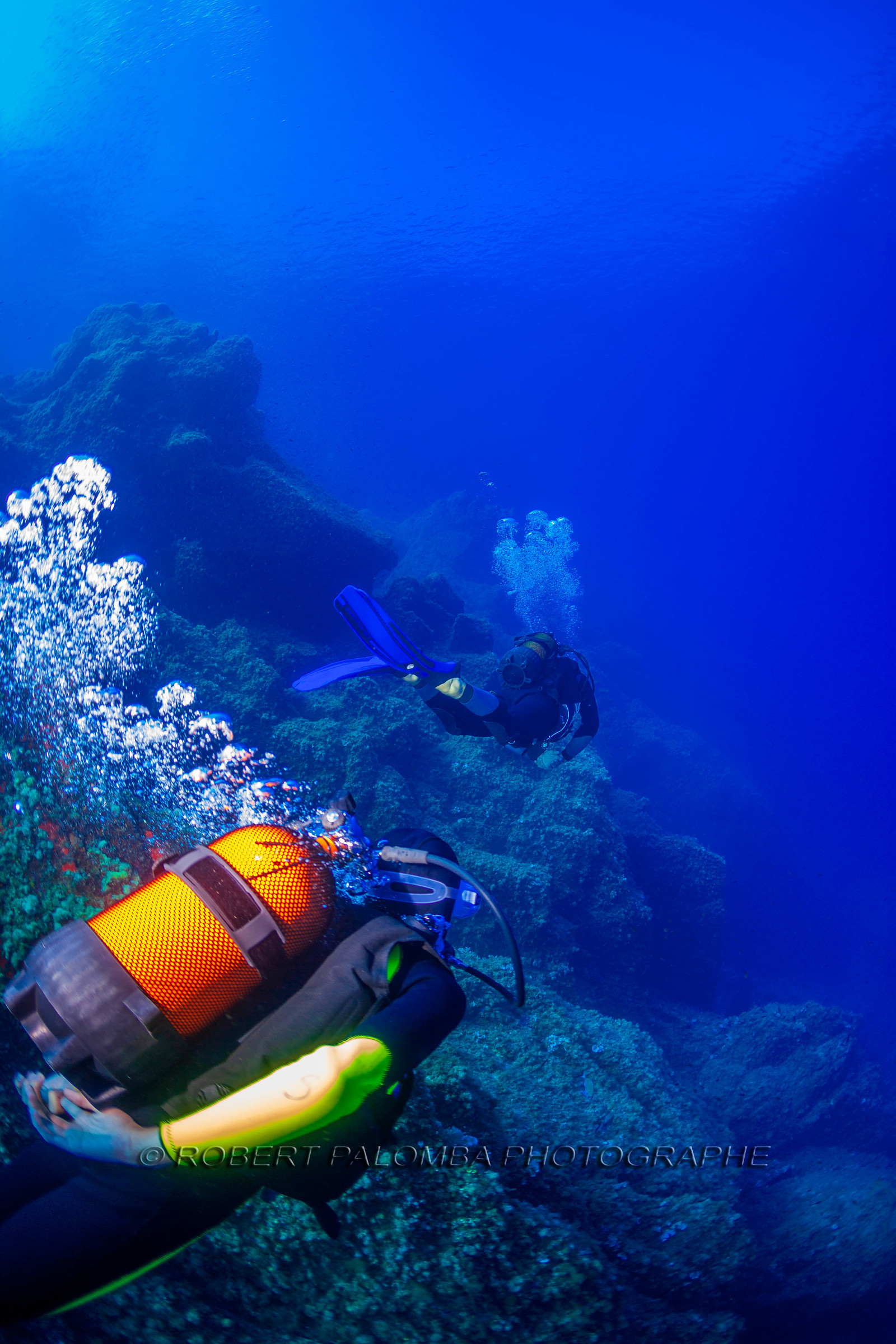 Plongée-sous-marine