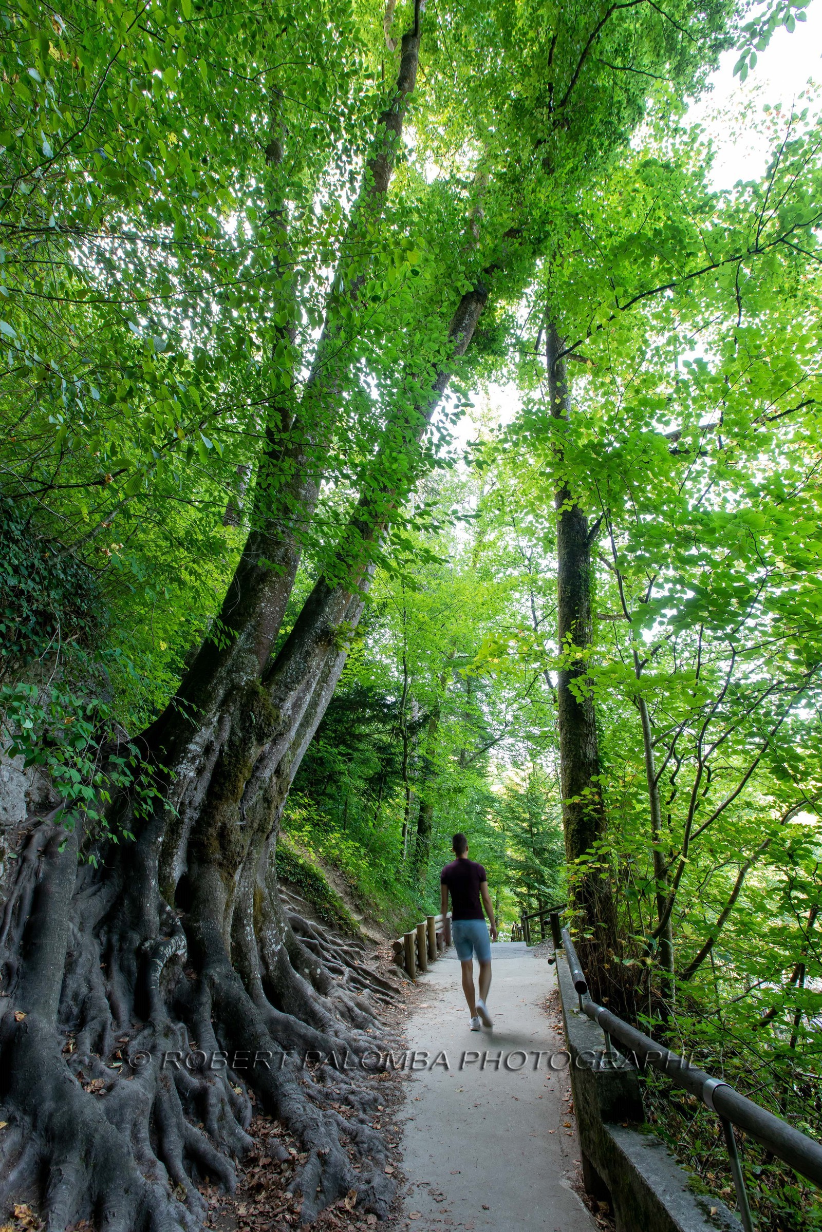 Gorges du Fier