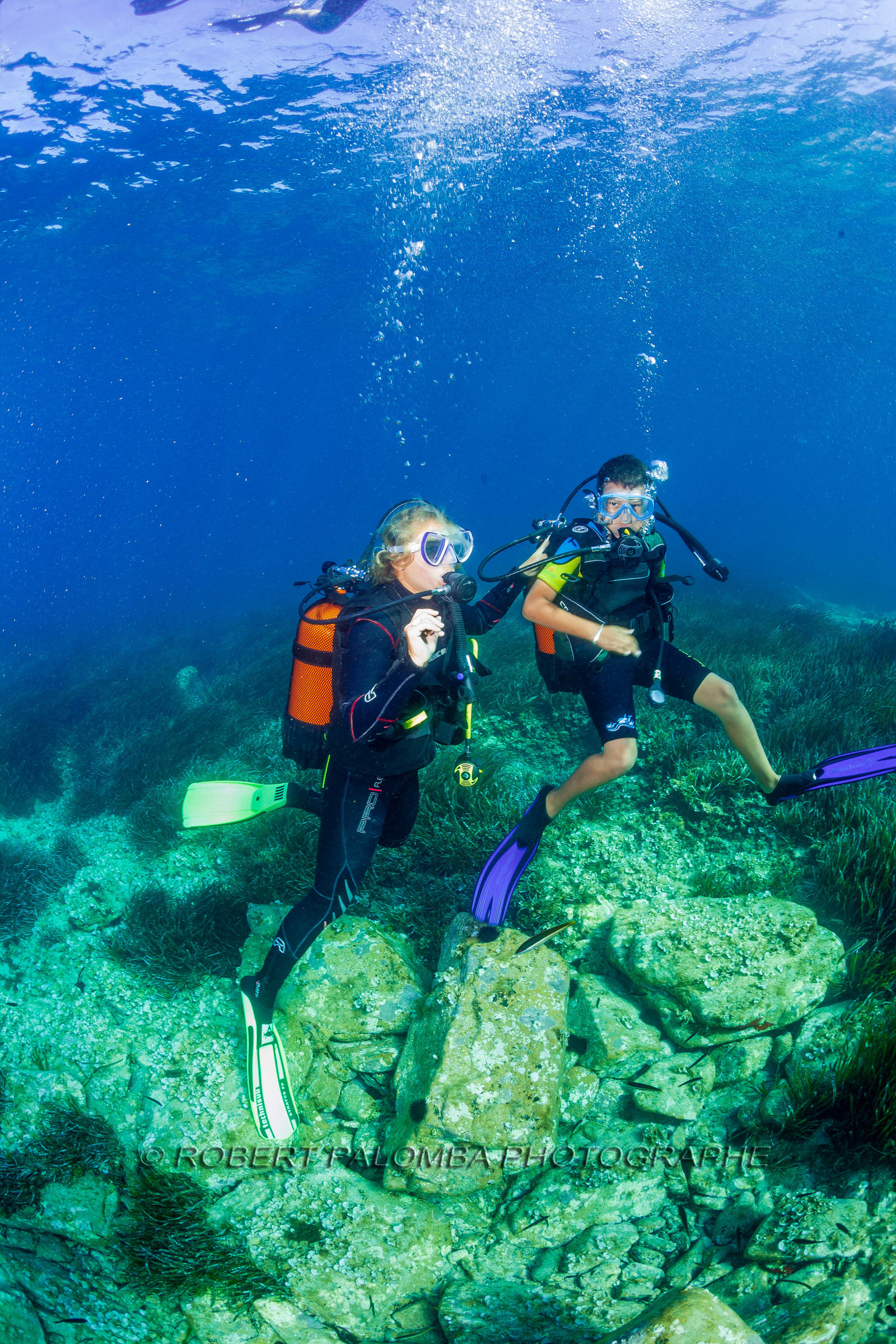 Plongée-sous-marine