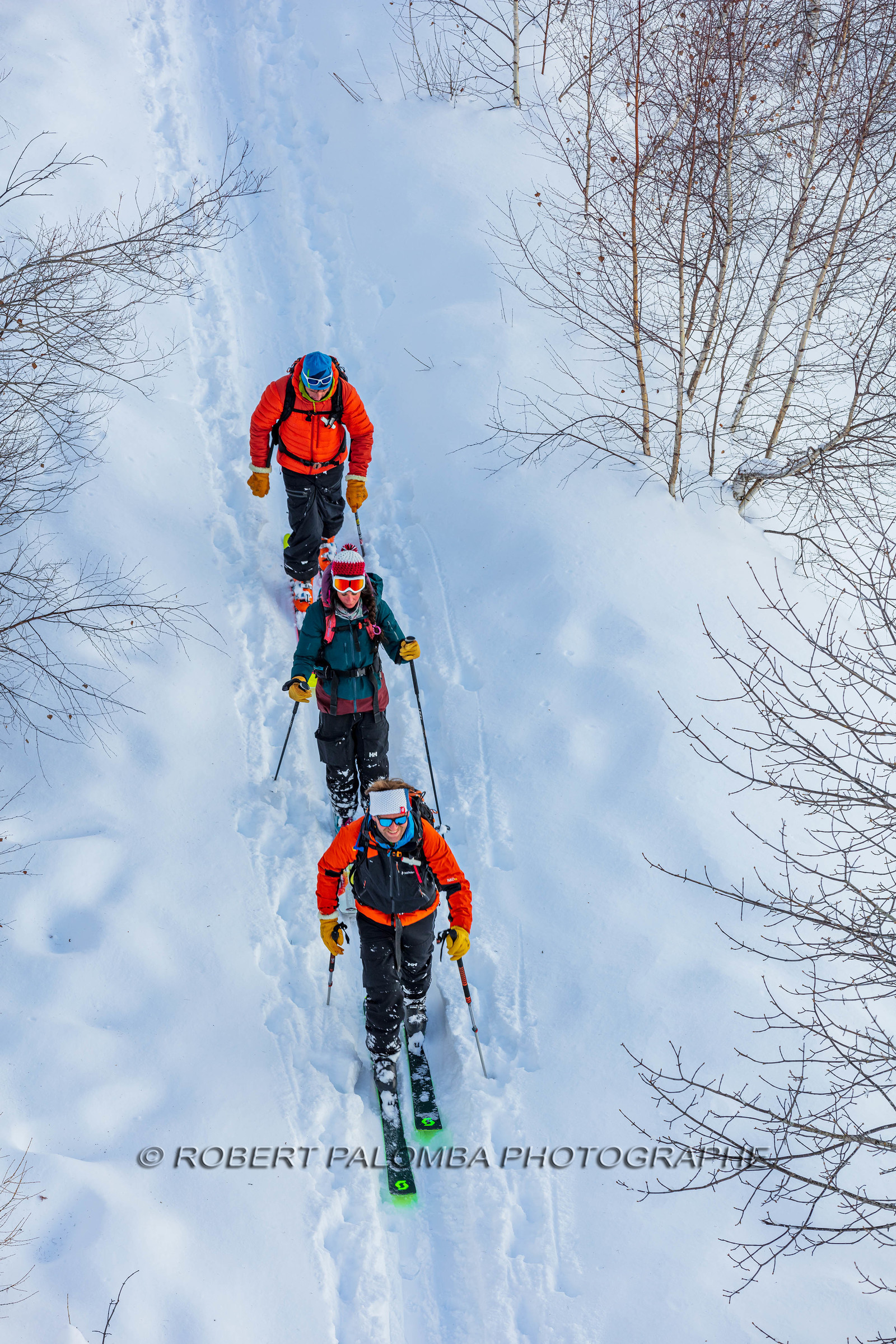 Ski de randonnée