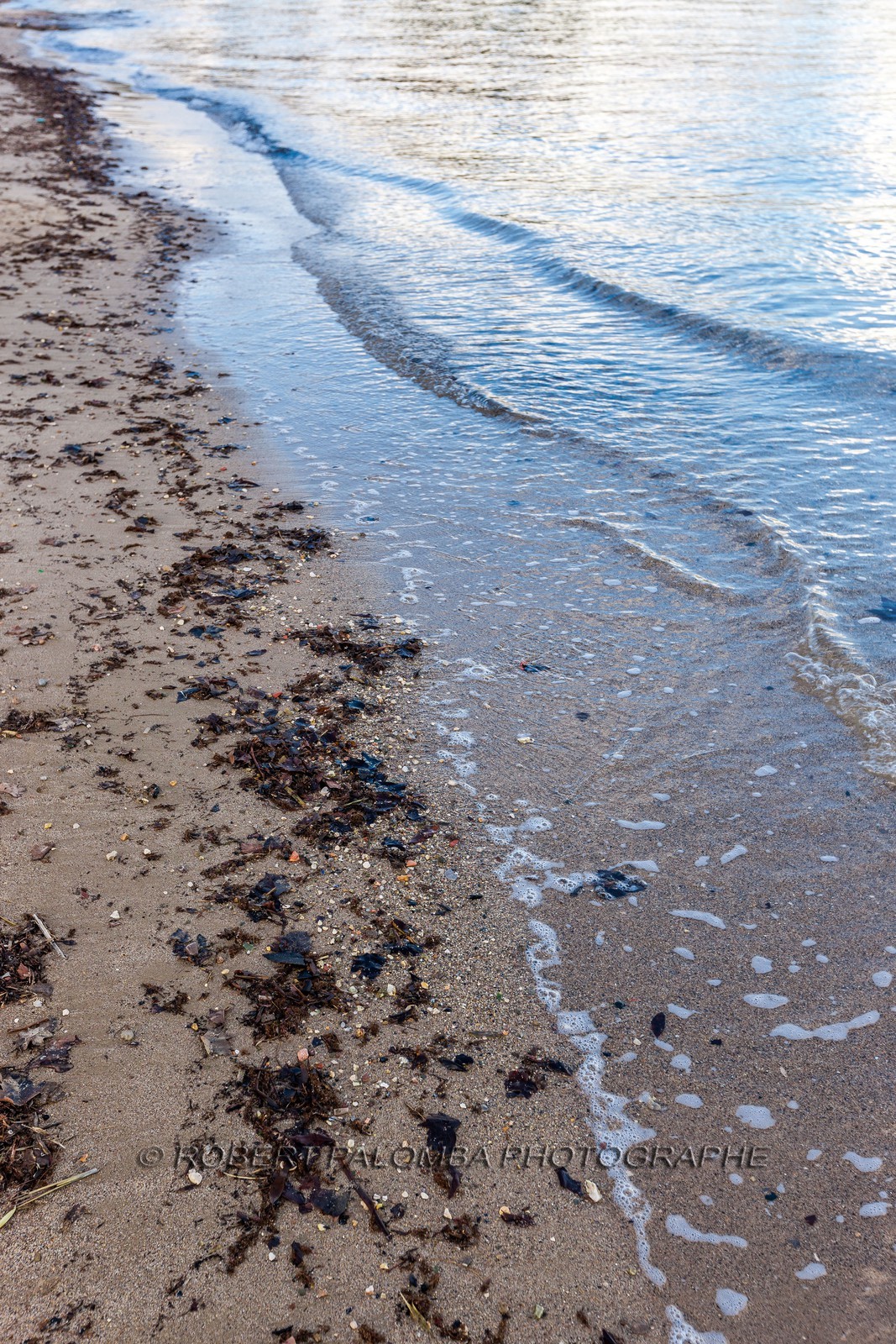 La Seyne-sur-Mer.