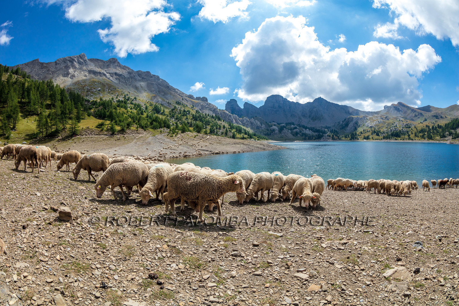 Lac d'Allos