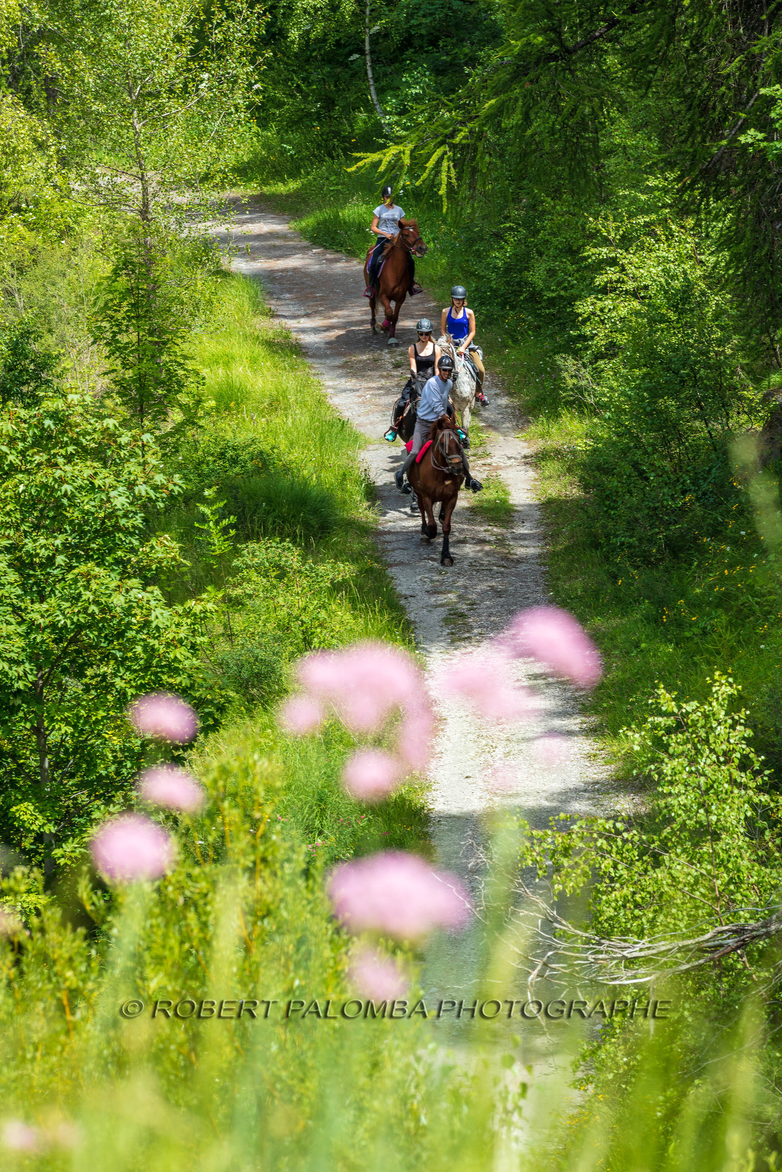 Equitation