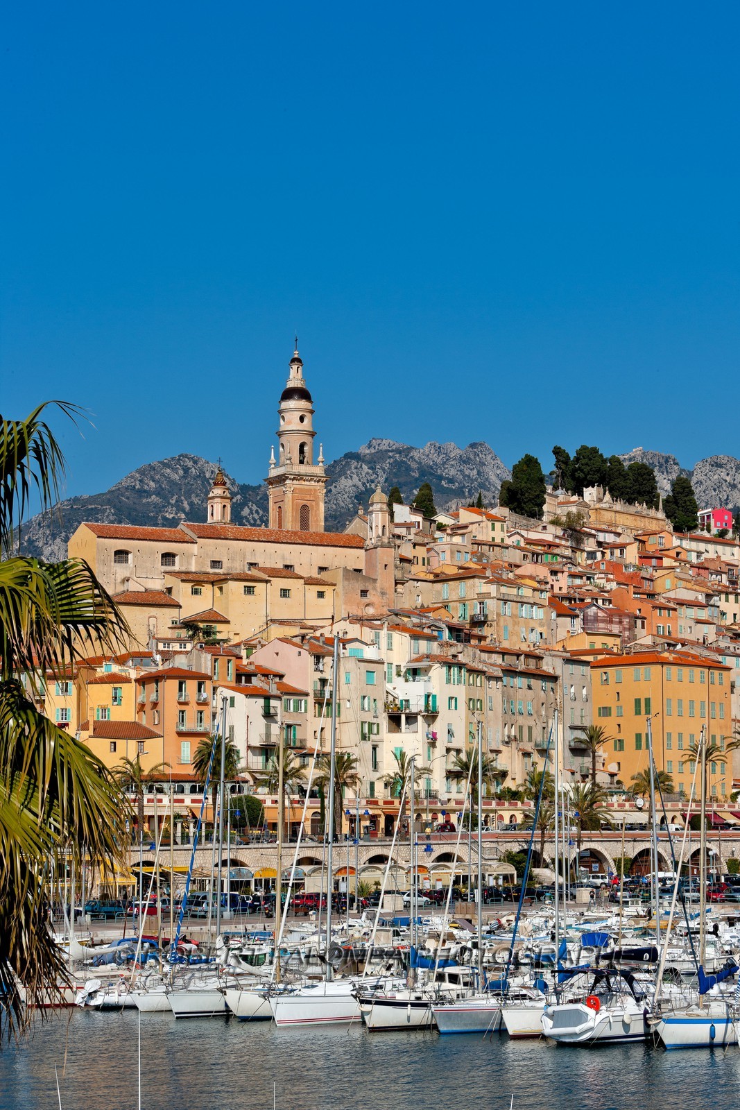 Menton