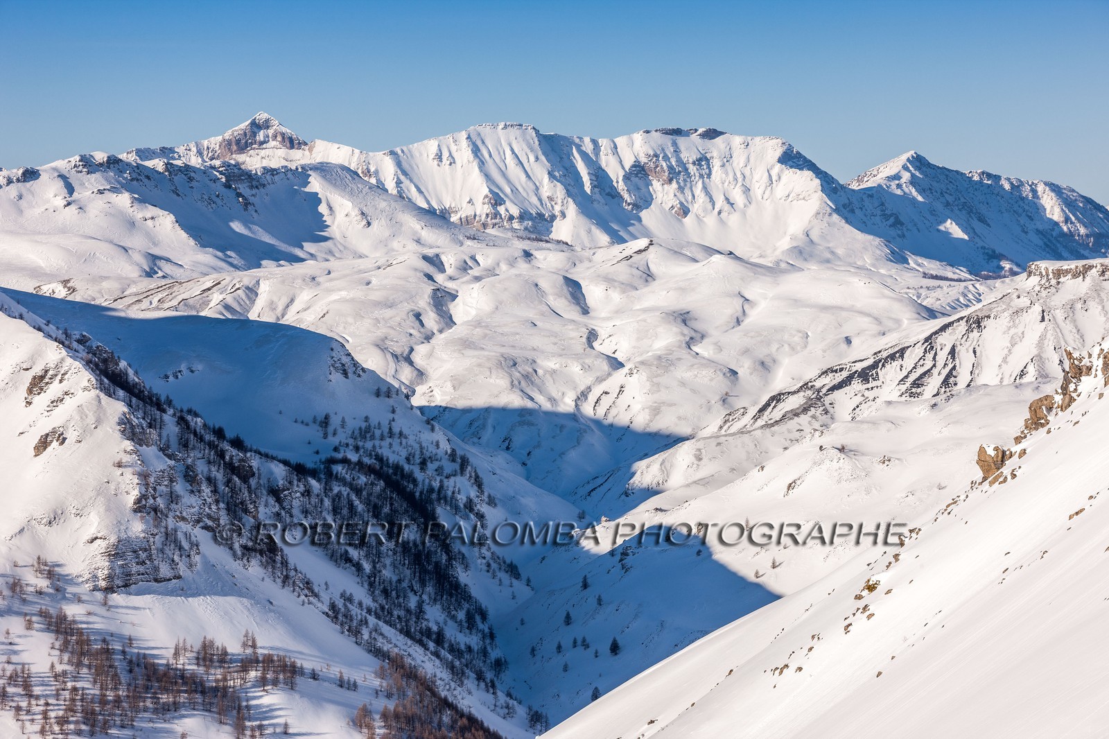 Auron