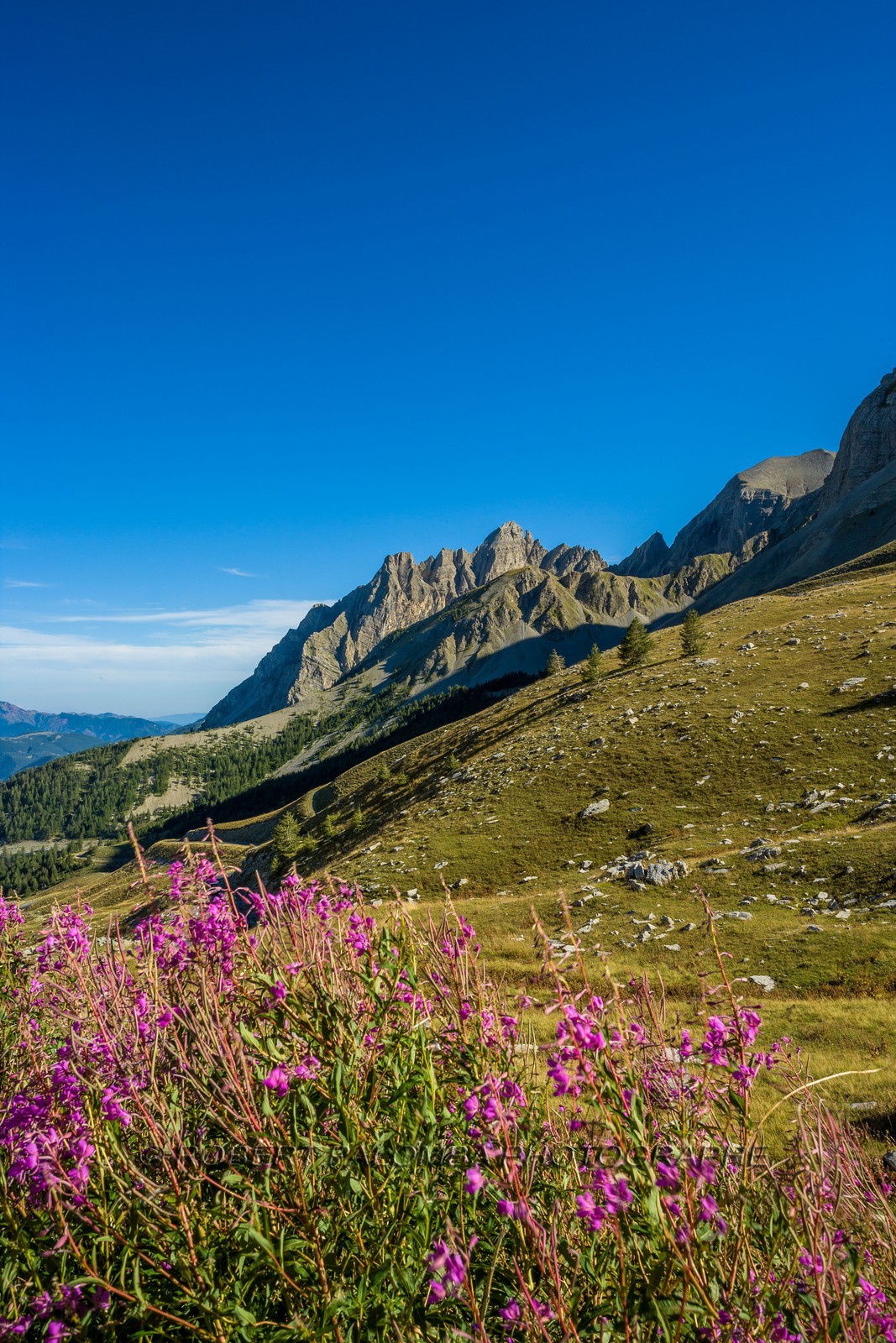 Col des Champs