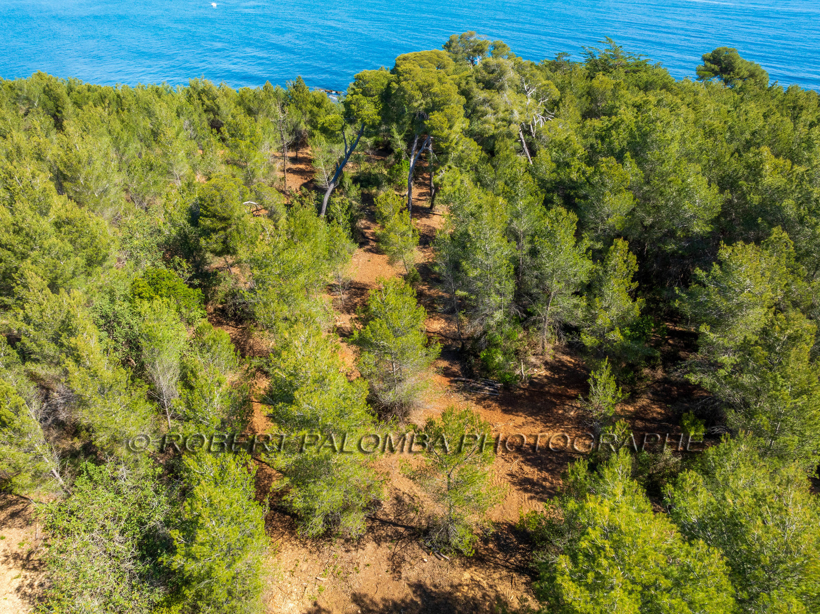 Lérins Sainte-Marguerite 2024