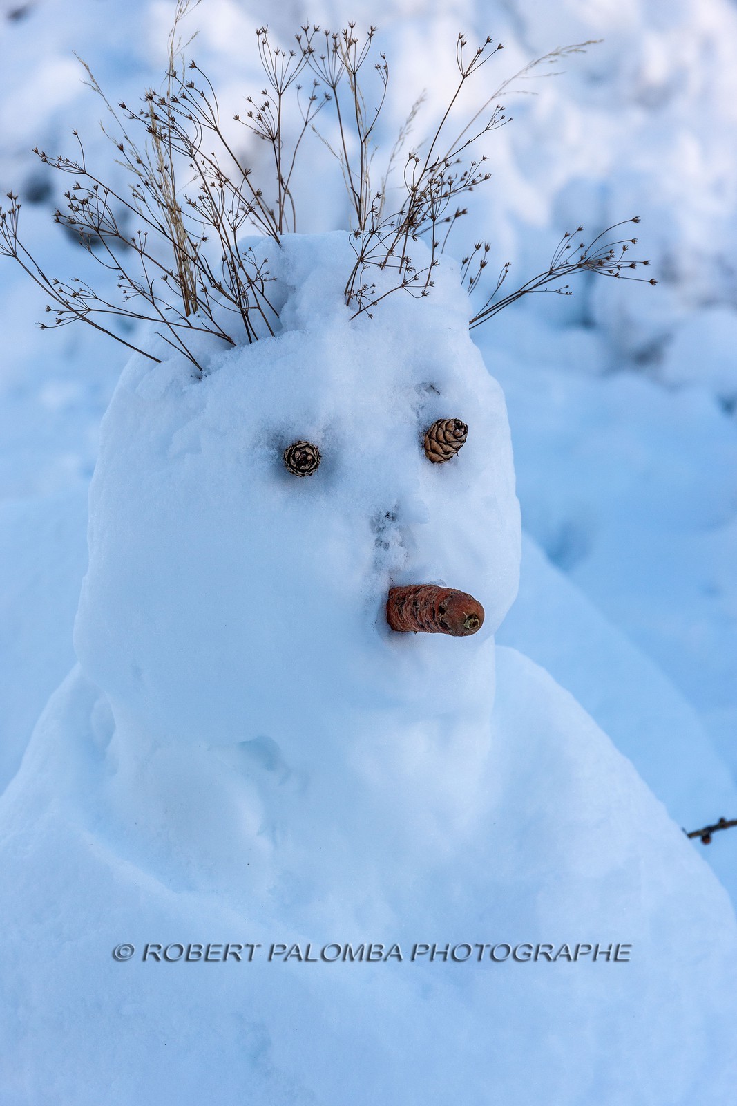Bonhomme de neige