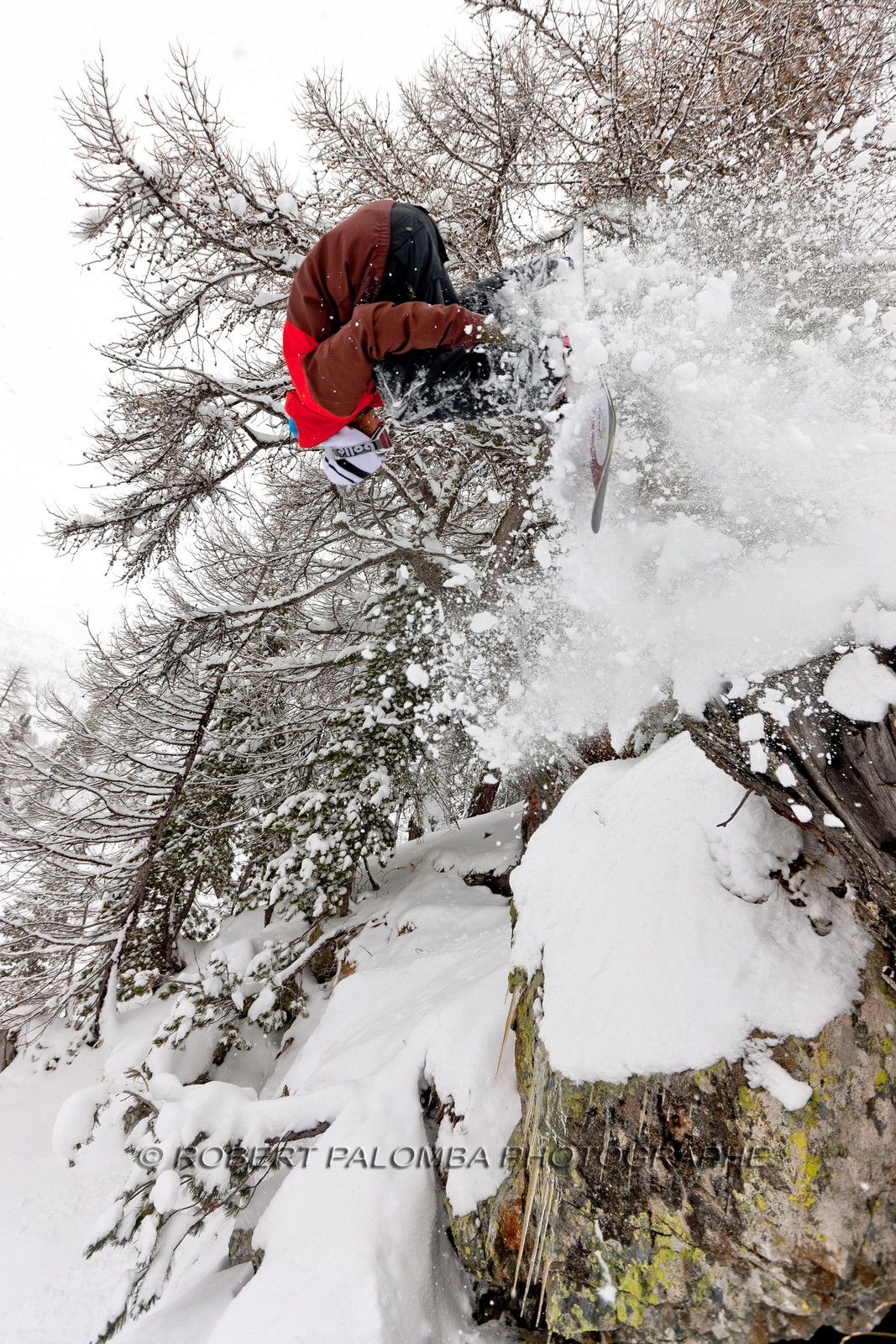 Snowboard