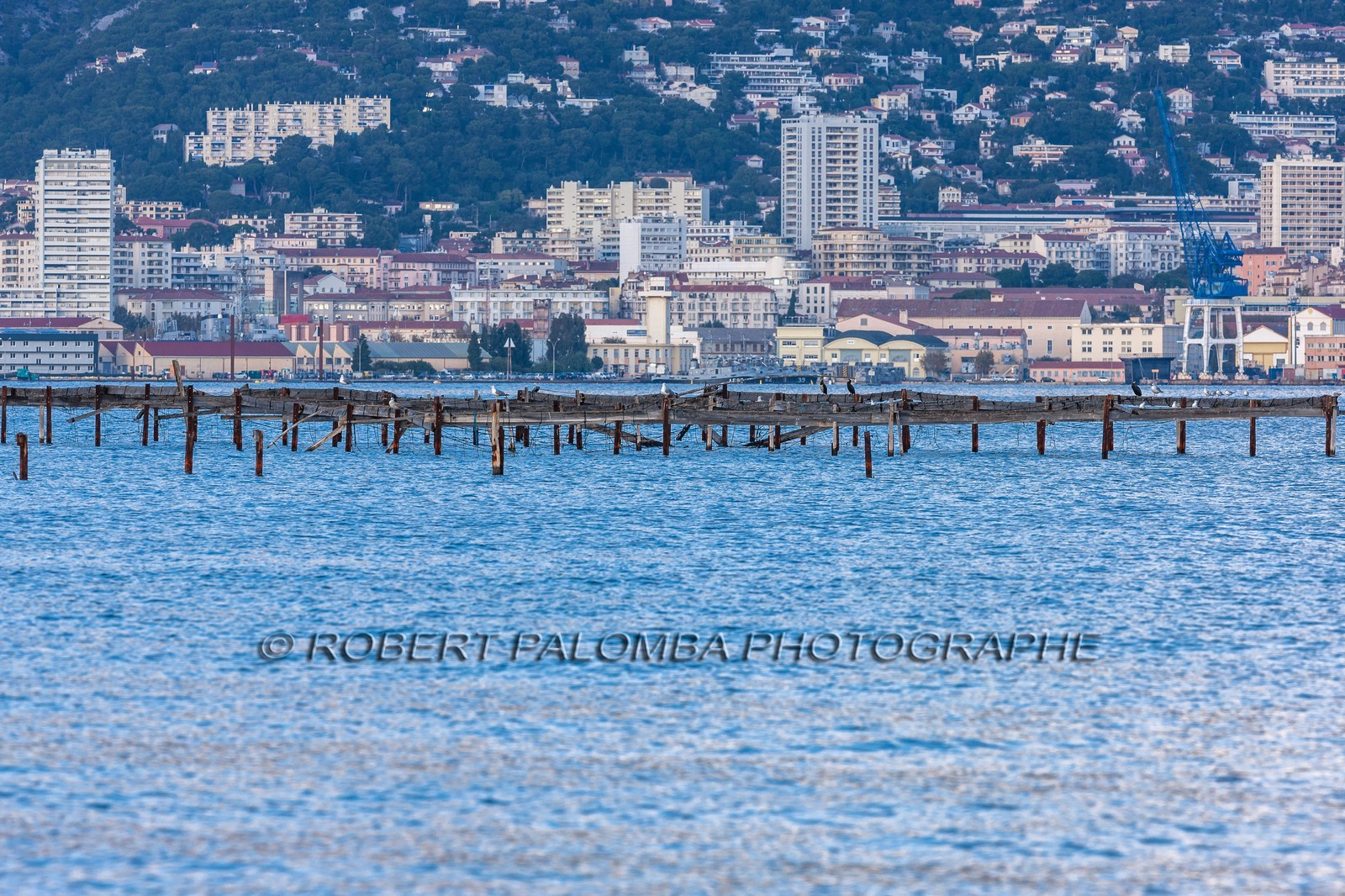La Seyne-sur-Mer.