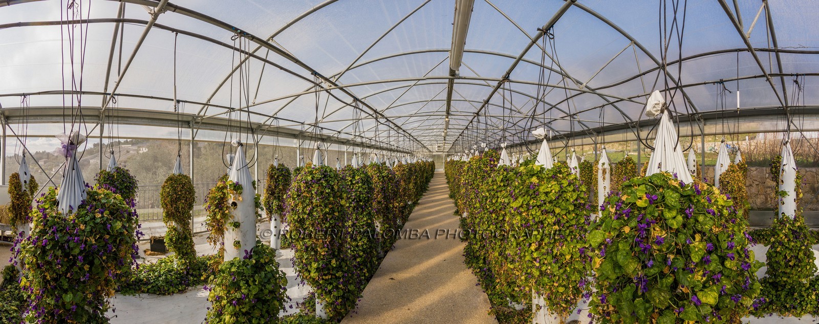 La Bastide aux Violettes