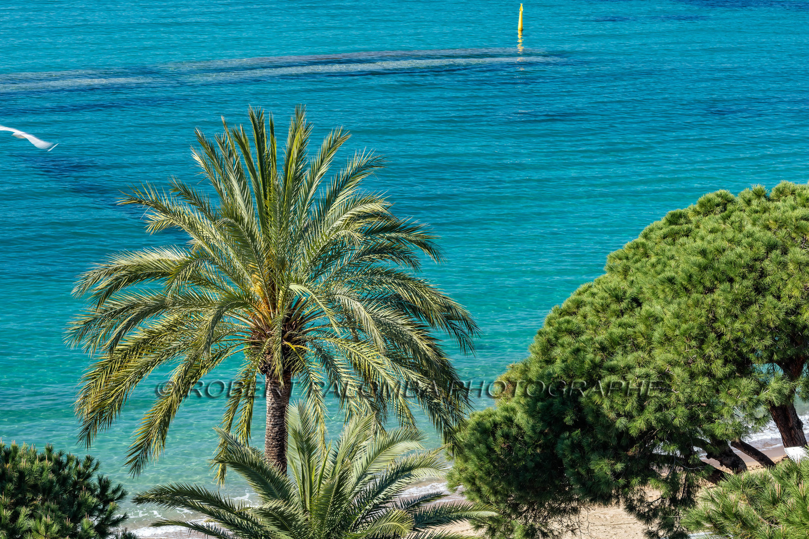 Cannes