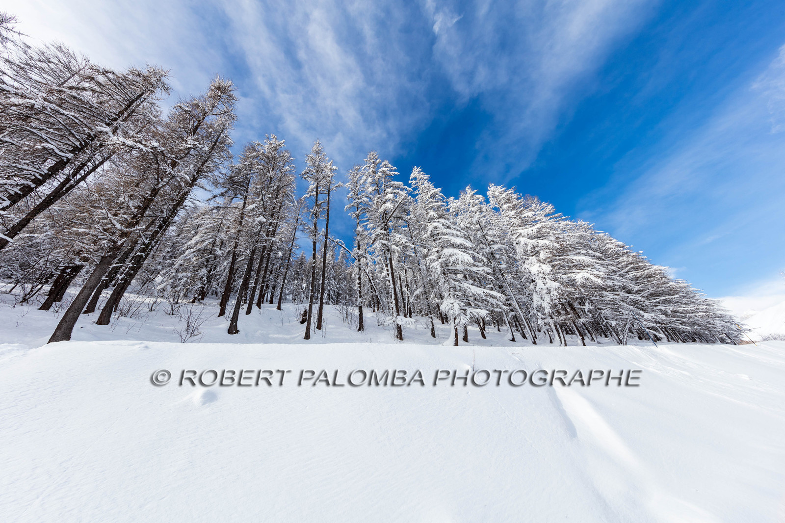 La Foux-d'Allos