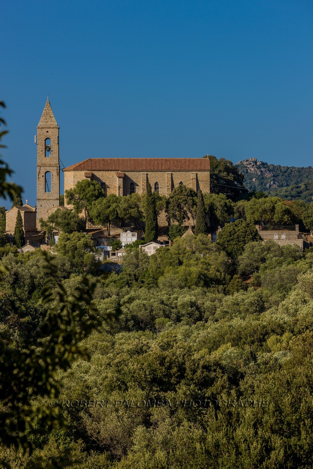 Figari