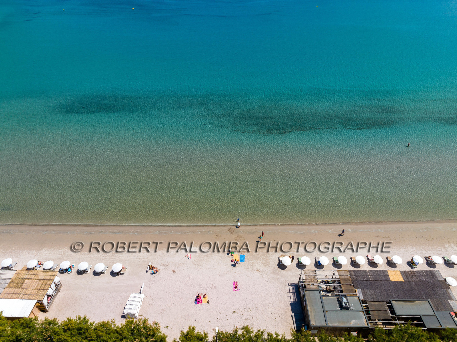 Calvi
