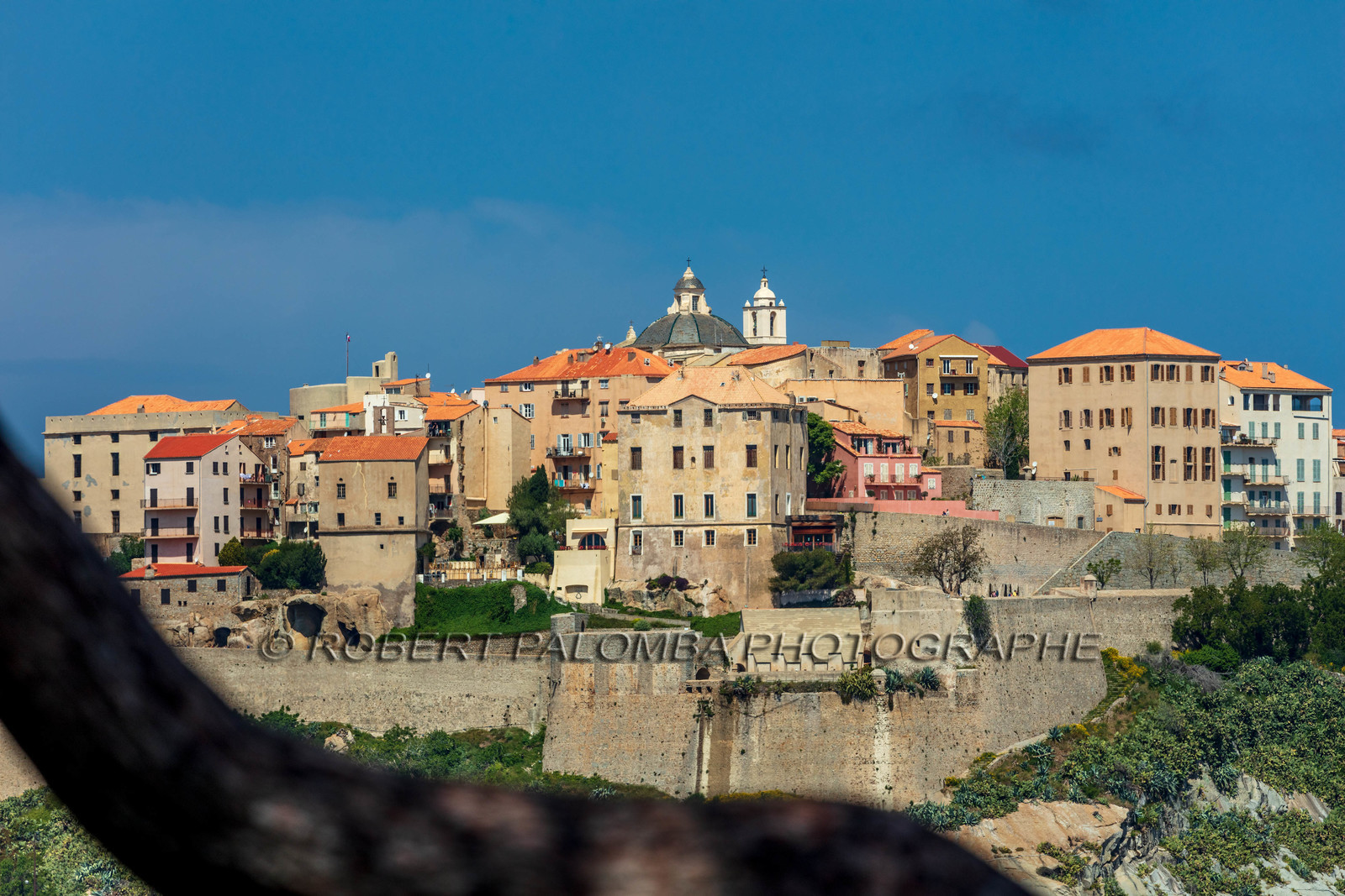 Calvi