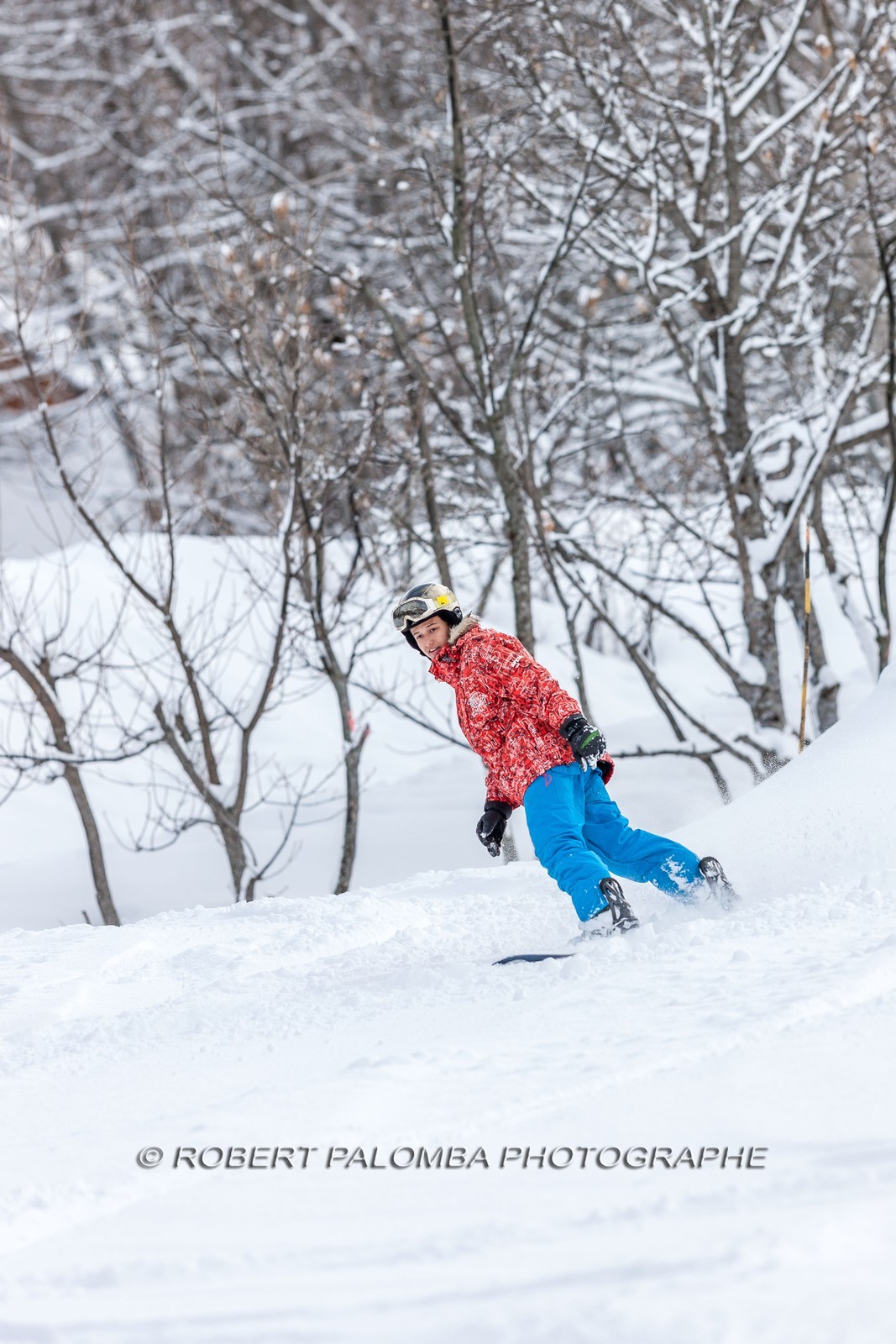Snowboard