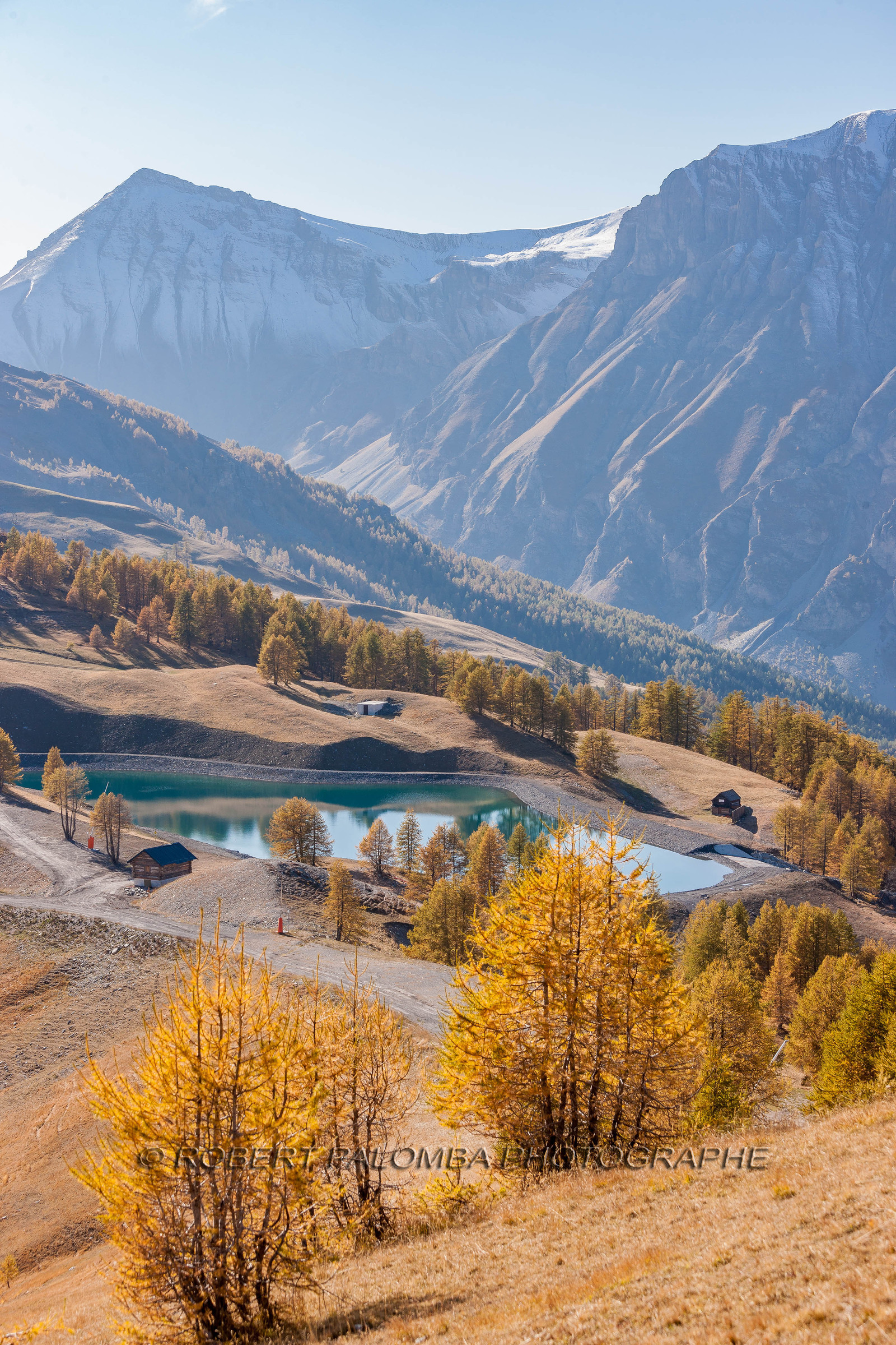 Auron