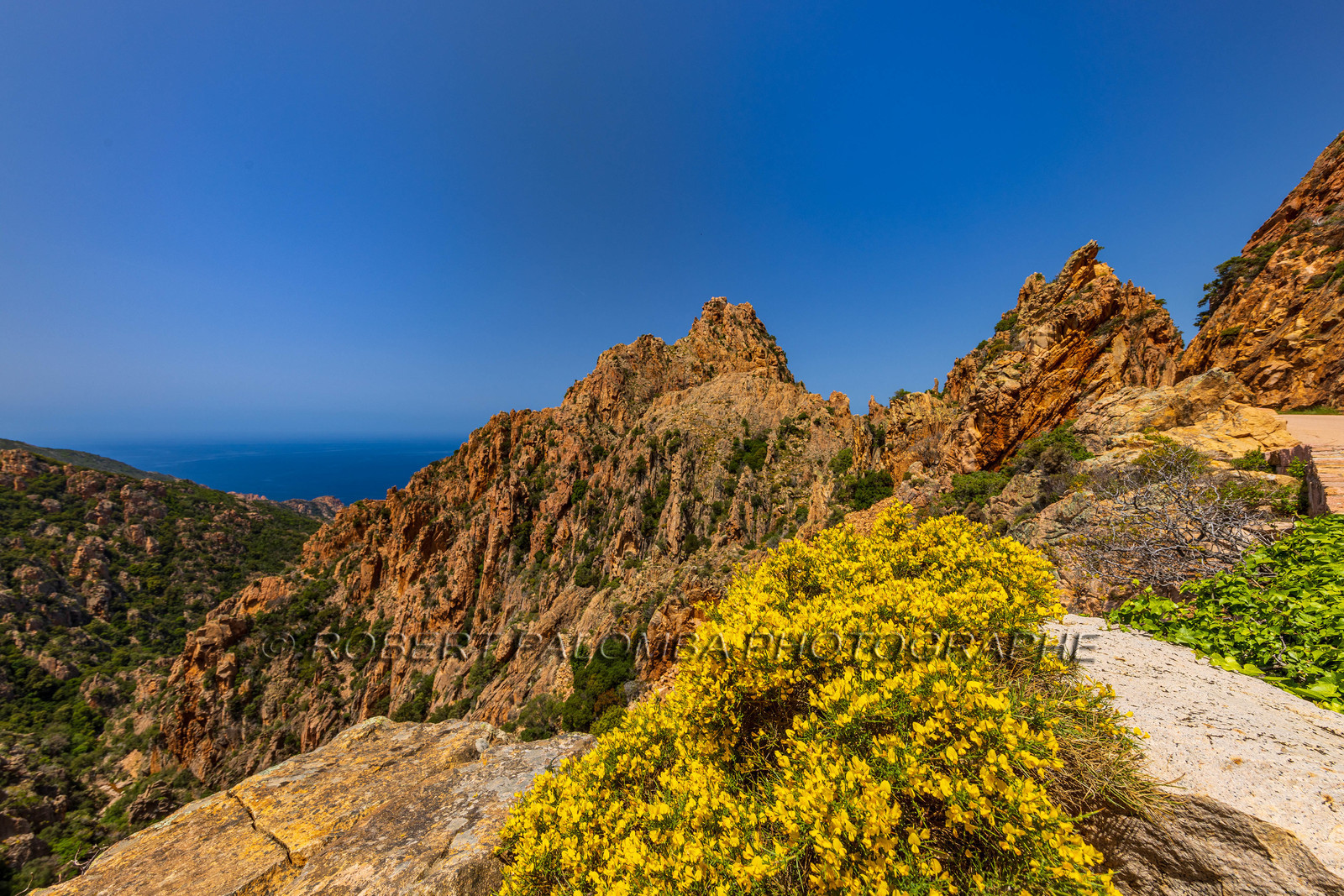 Calanche